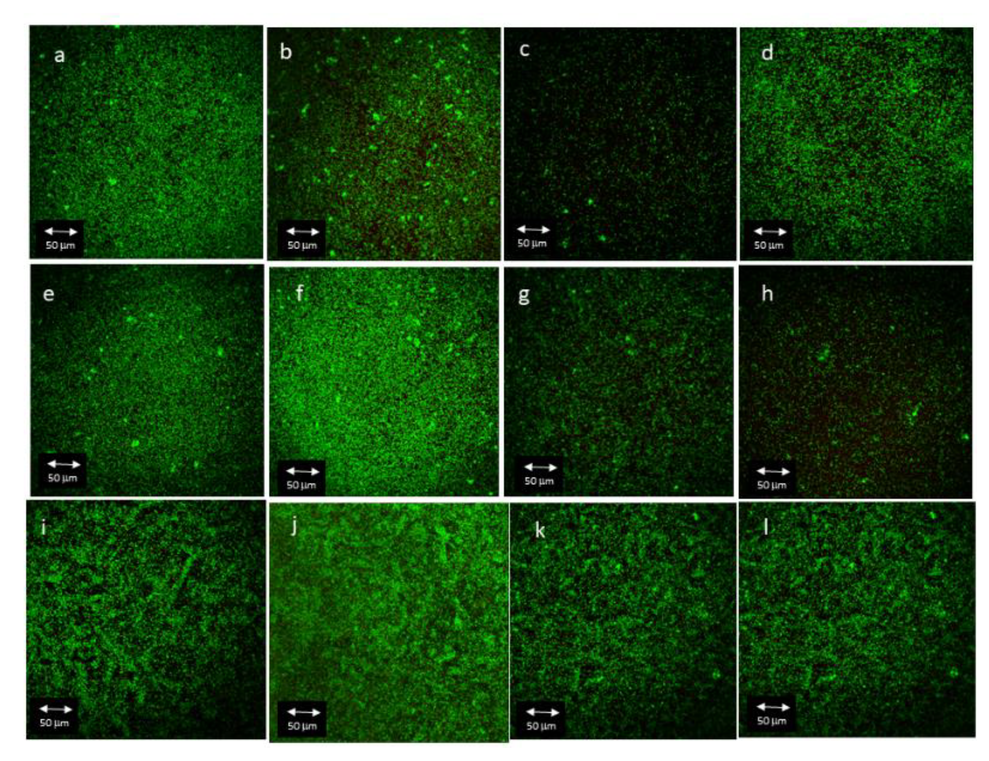 Materials 16 04592 g004