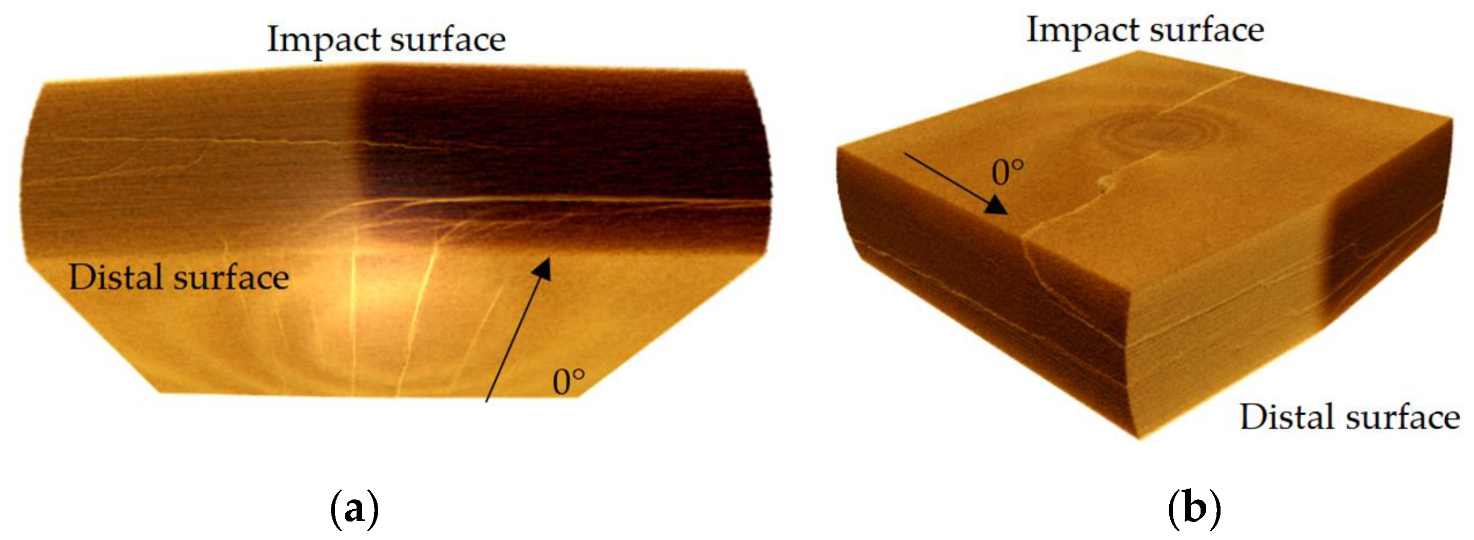 Materials 16 04599 g012