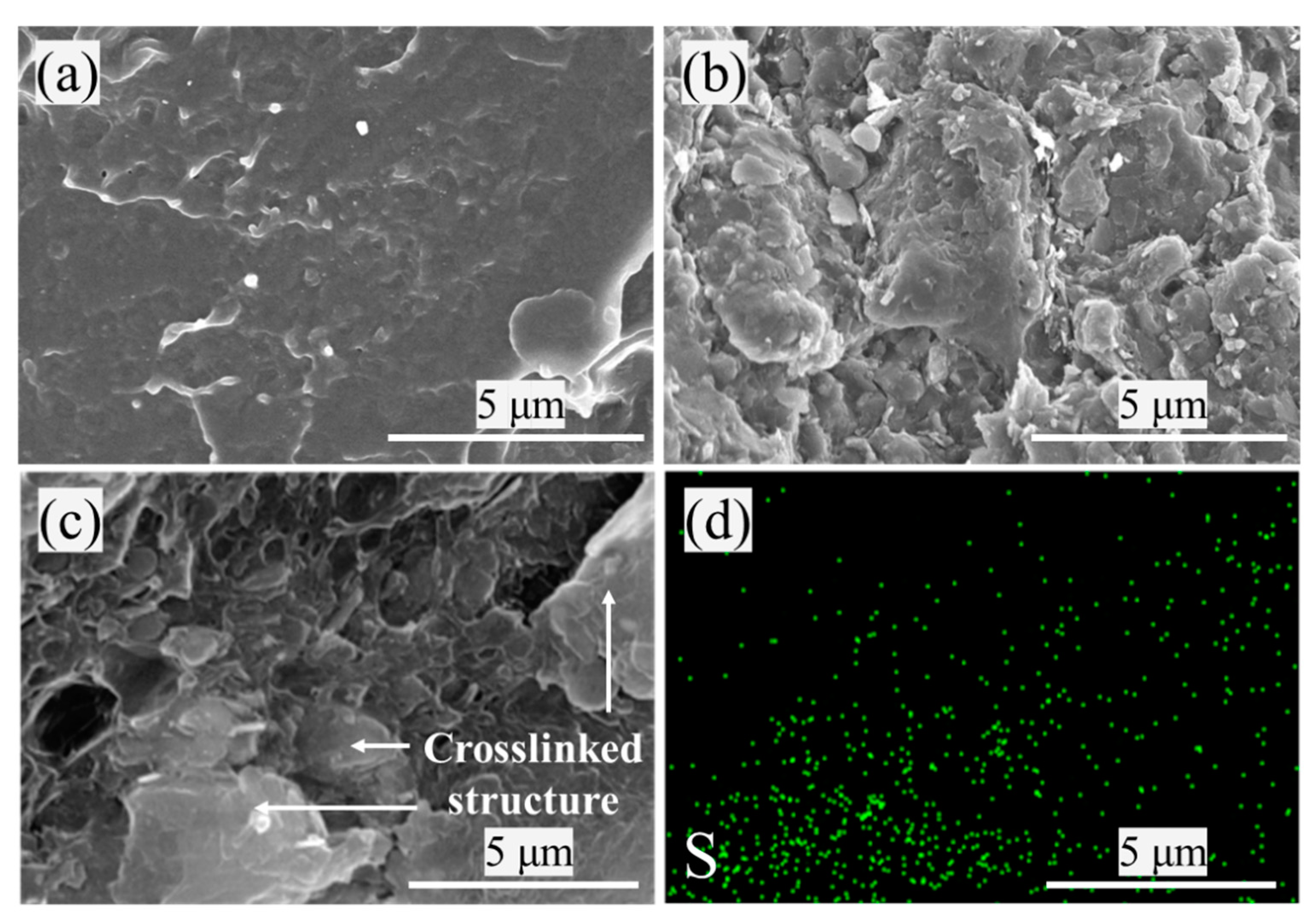 Materials 16 04600 g008