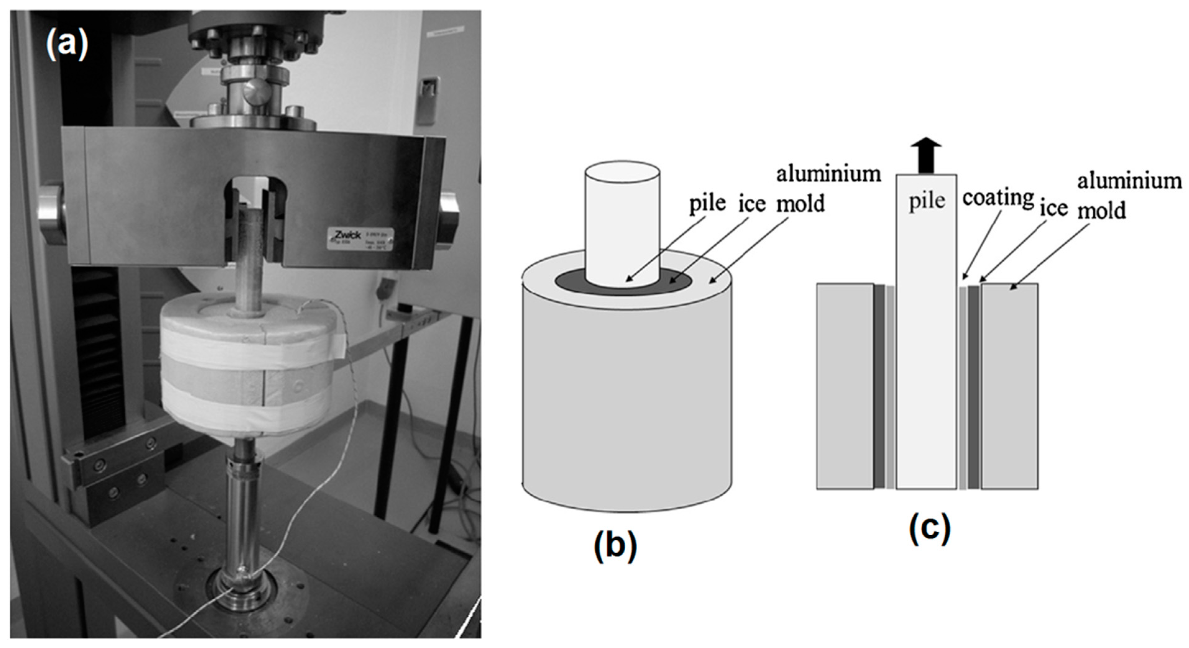 Materials 16 04607 g019