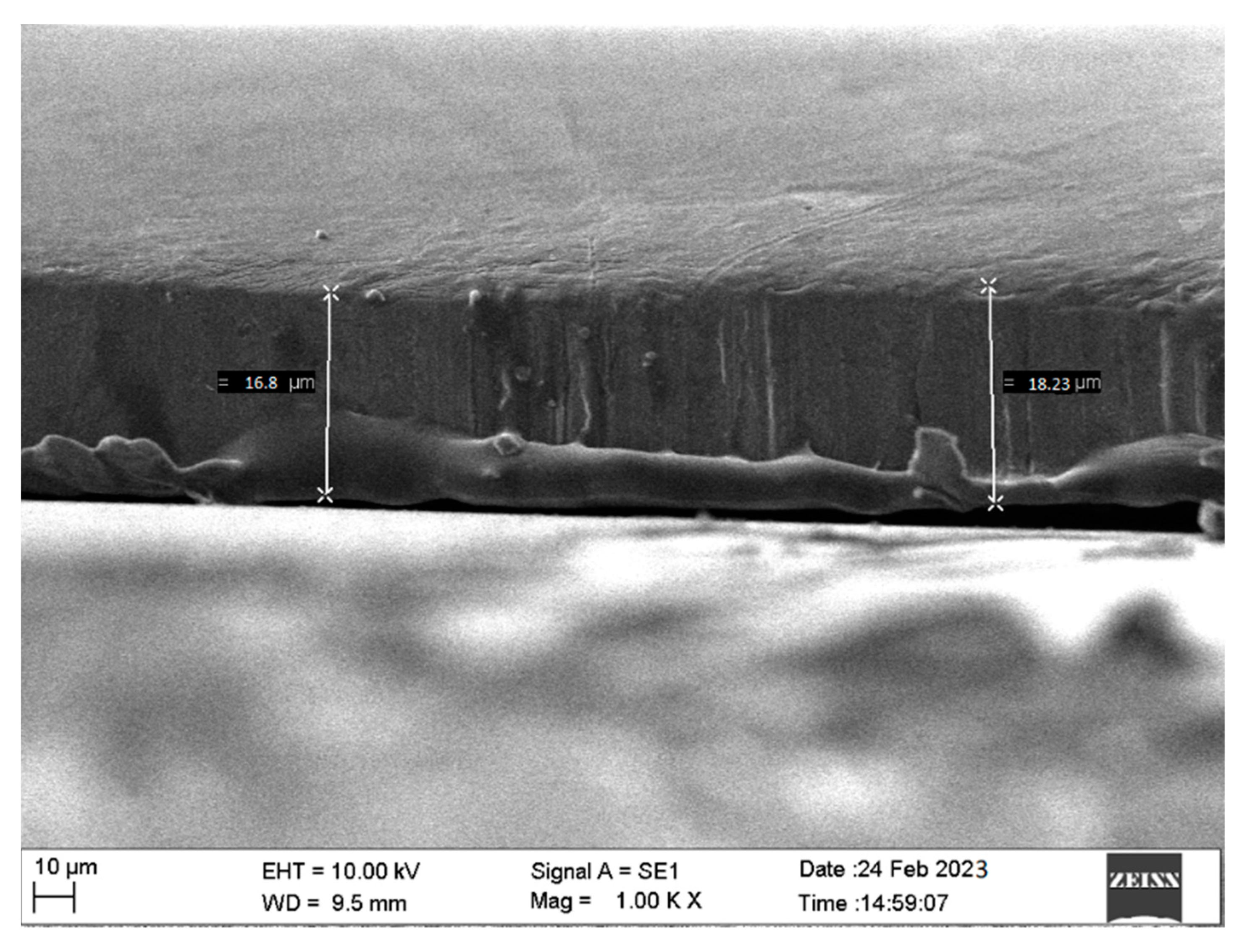 Materials 16 04611 g004