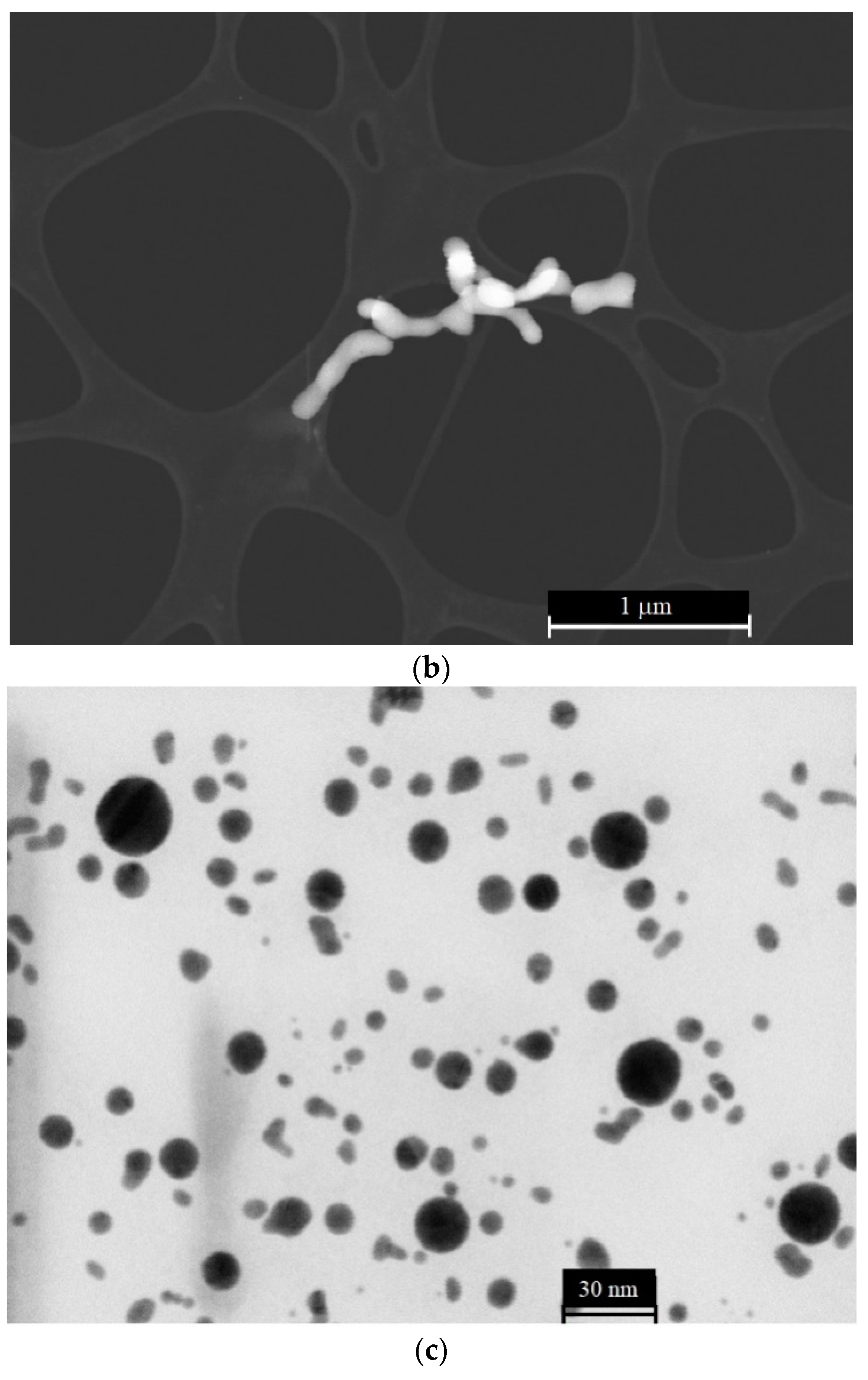 Materials 16 04622 g004b Materials 16 04622 g004b