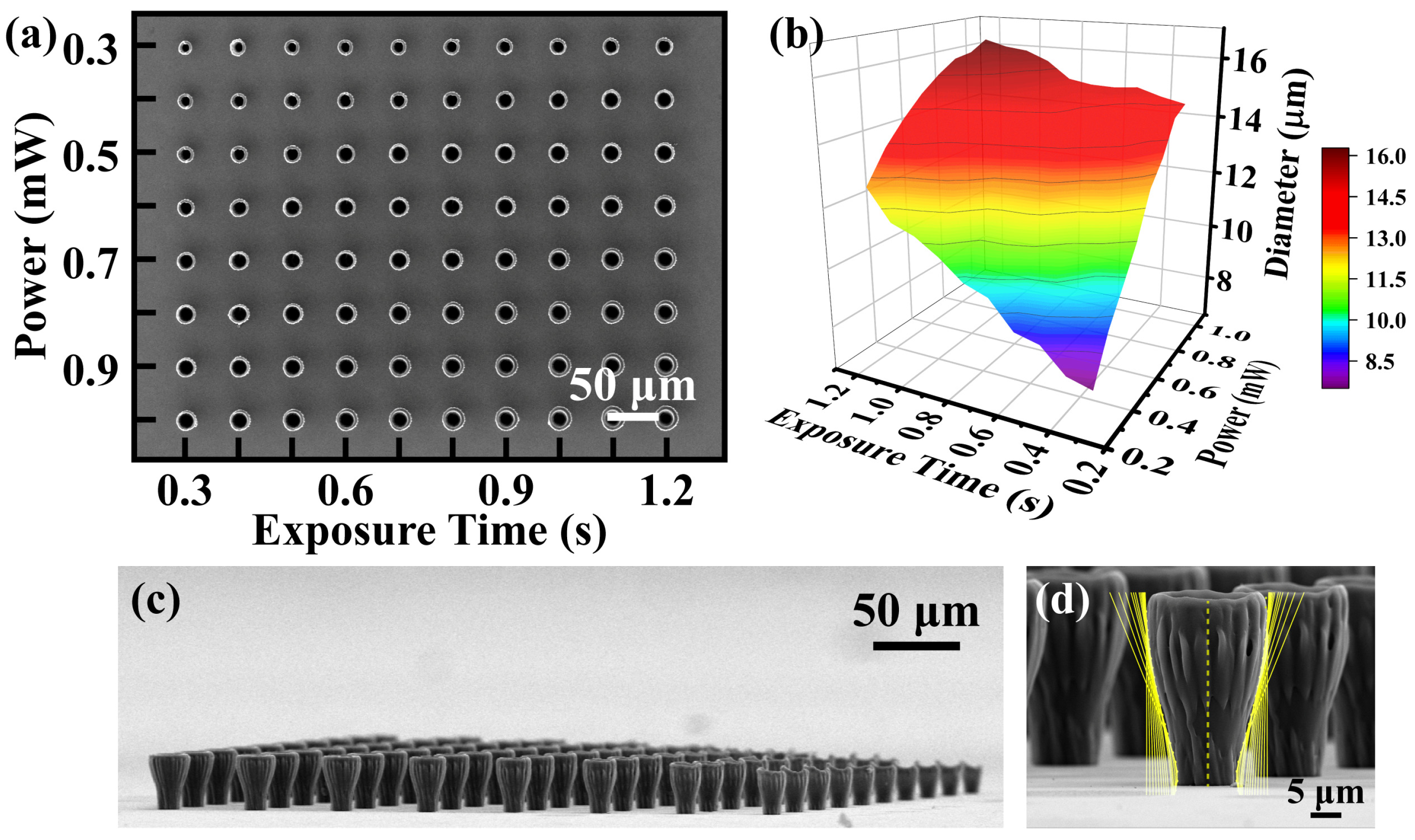 Materials 16 04625 g004