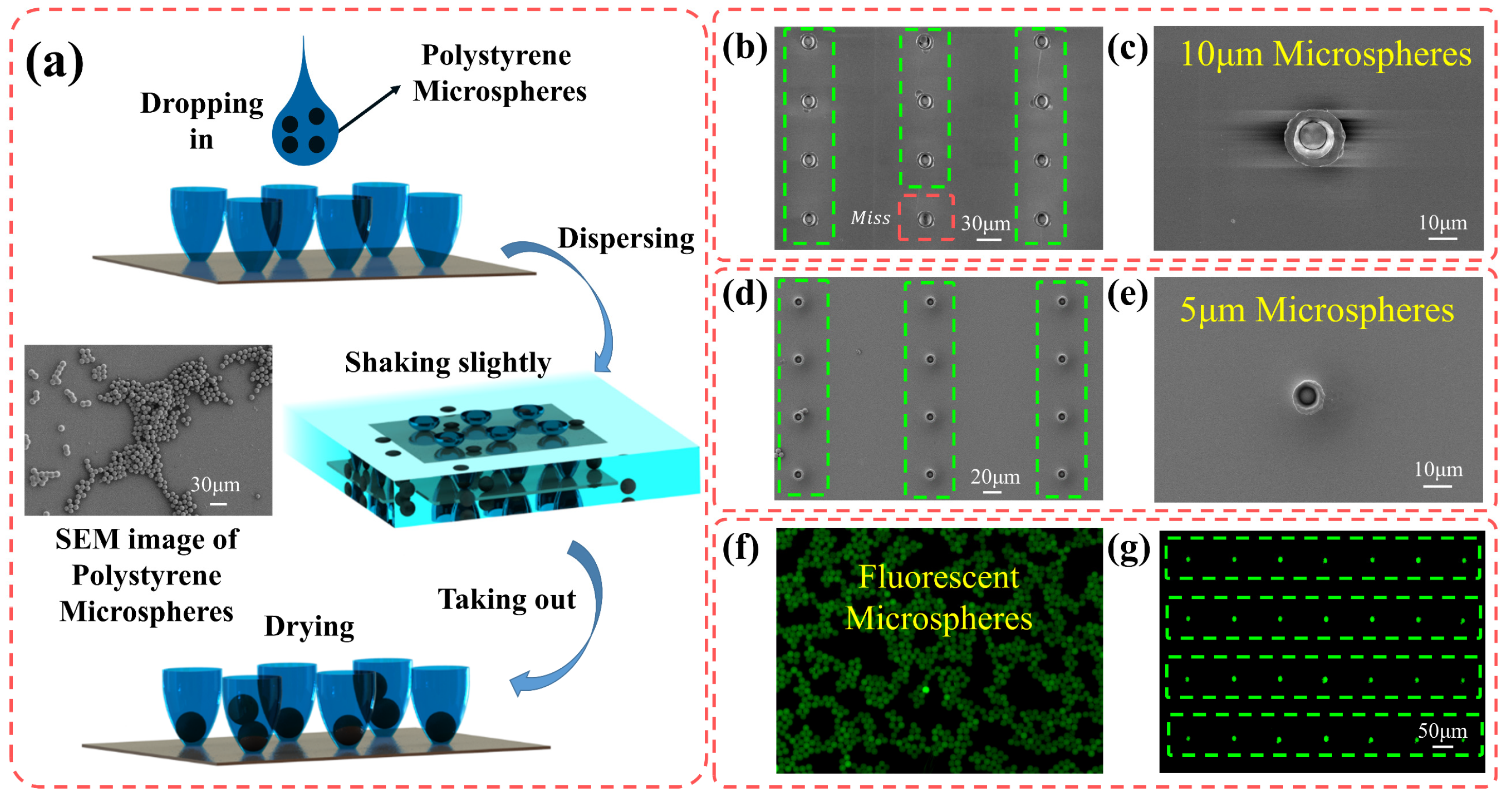 Materials 16 04625 g007