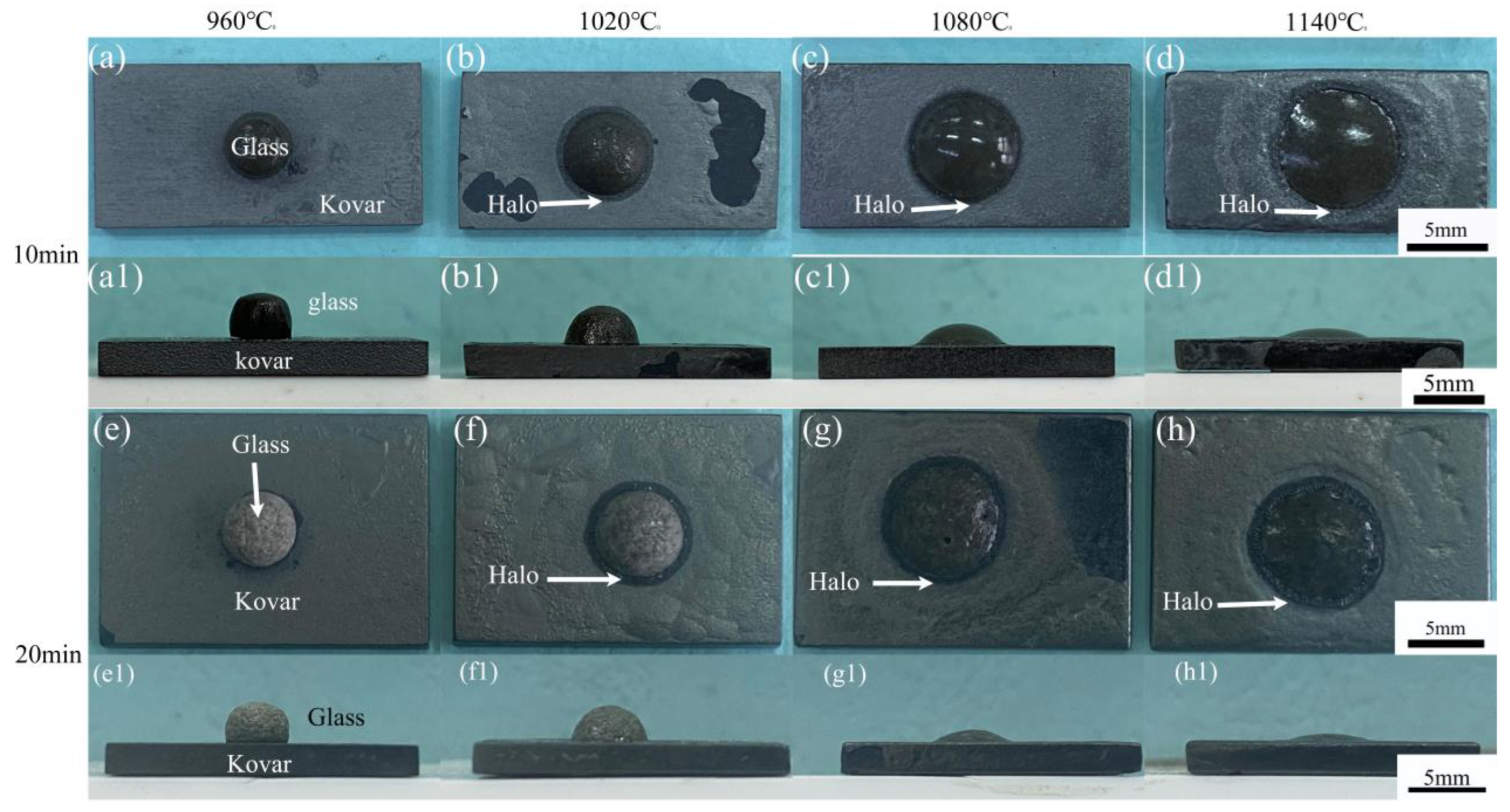 Materials 16 04628 g005