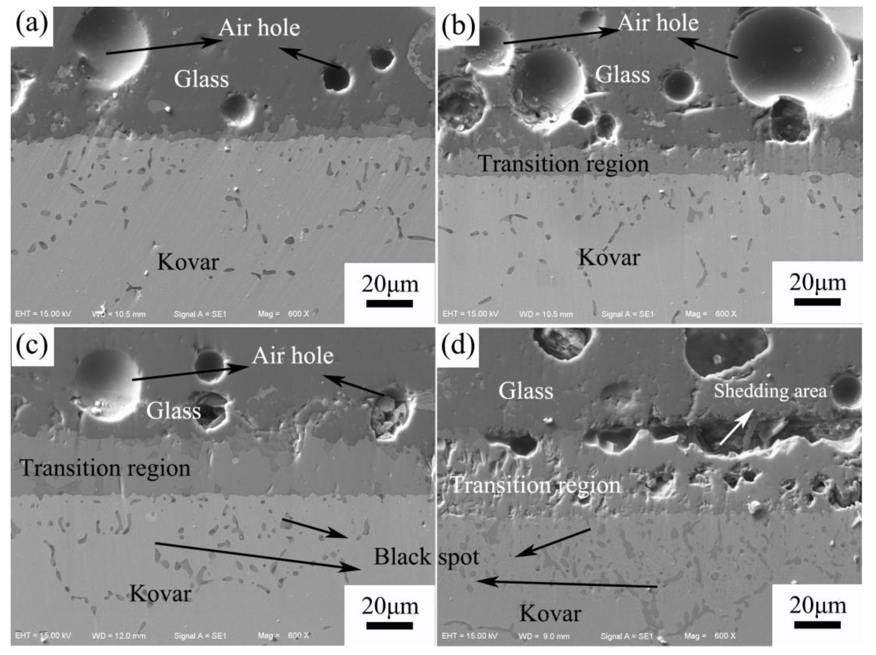 Materials 16 04628 g012