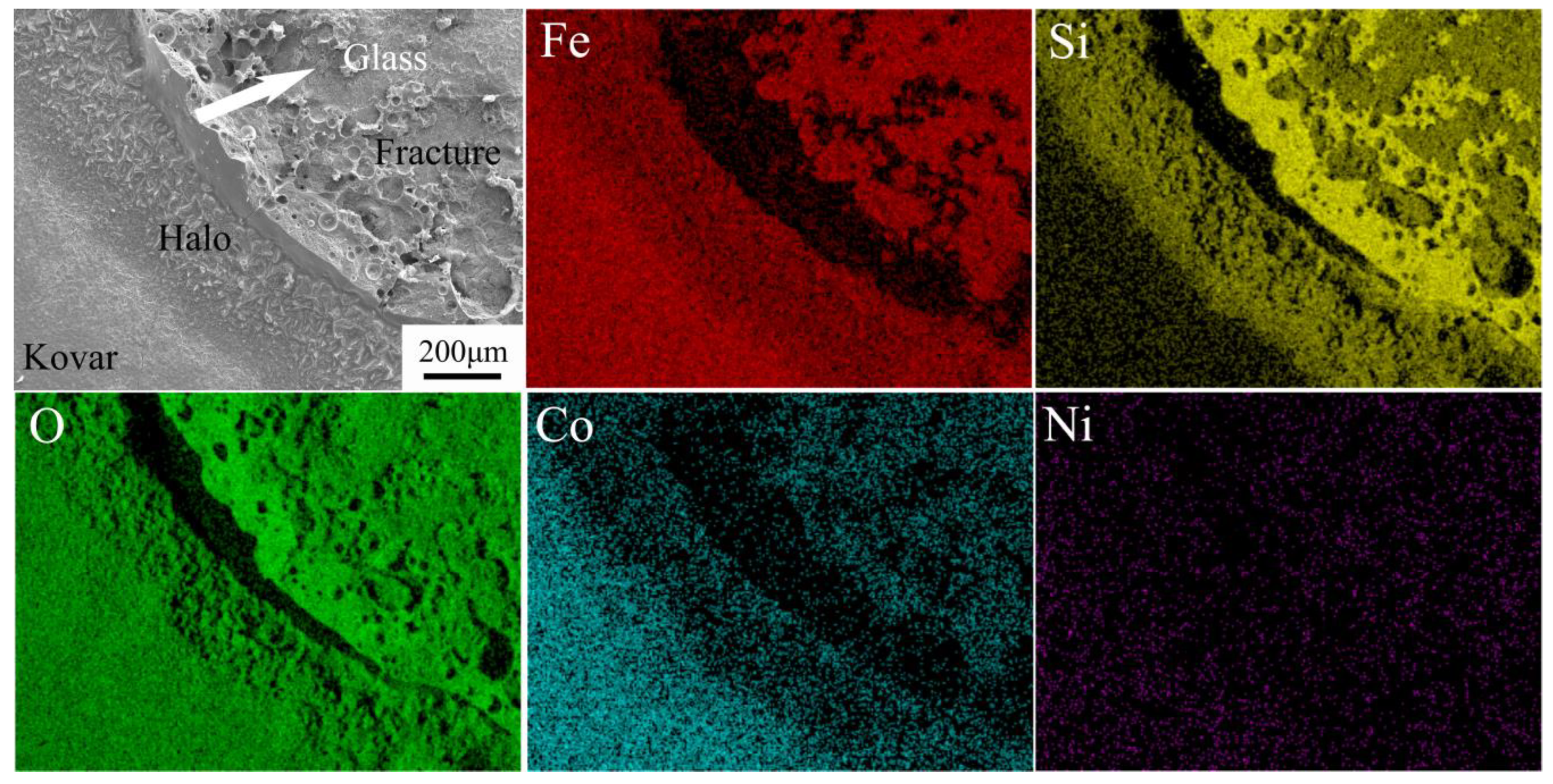 Materials 16 04628 g017
