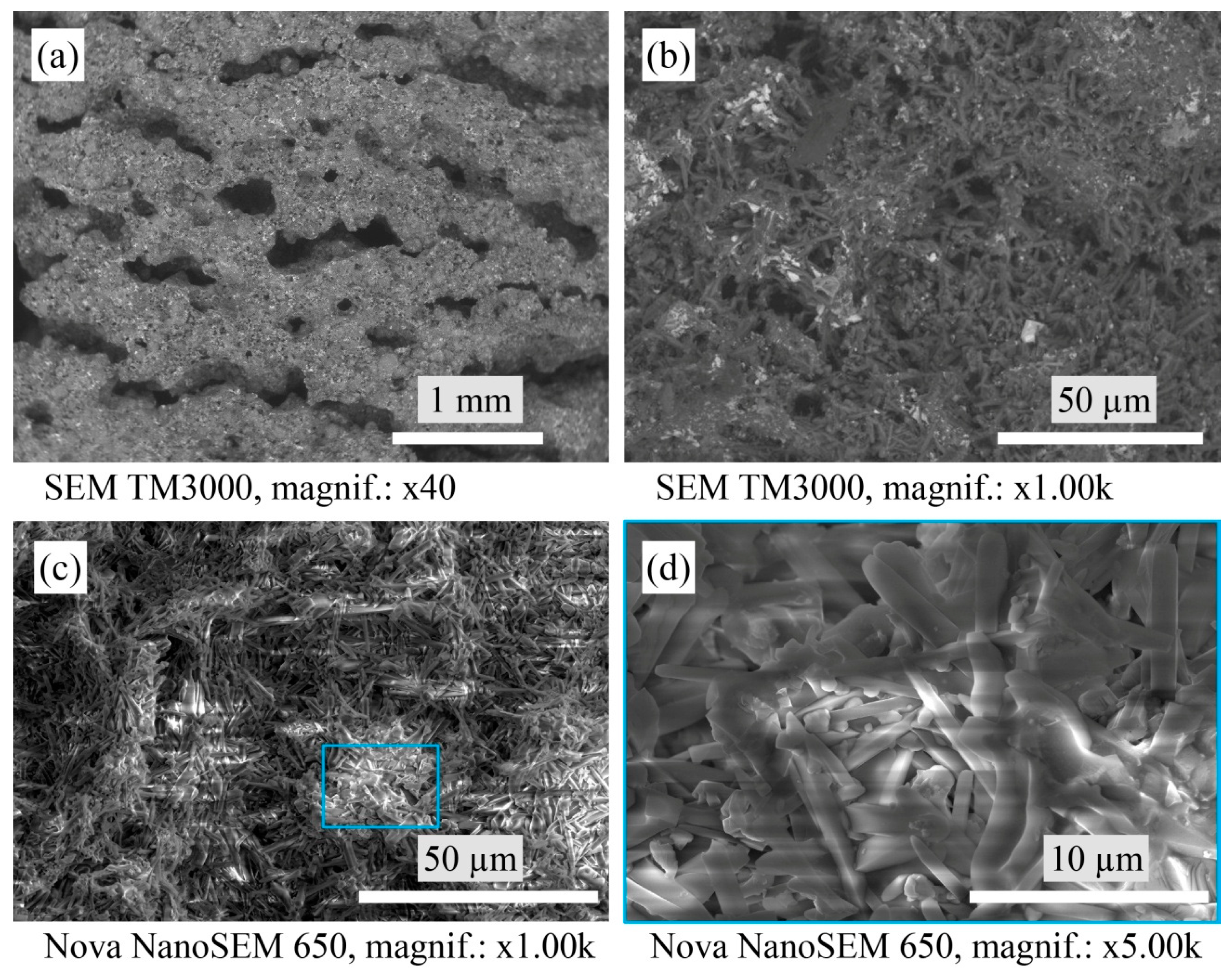 Materials 16 04631 g004