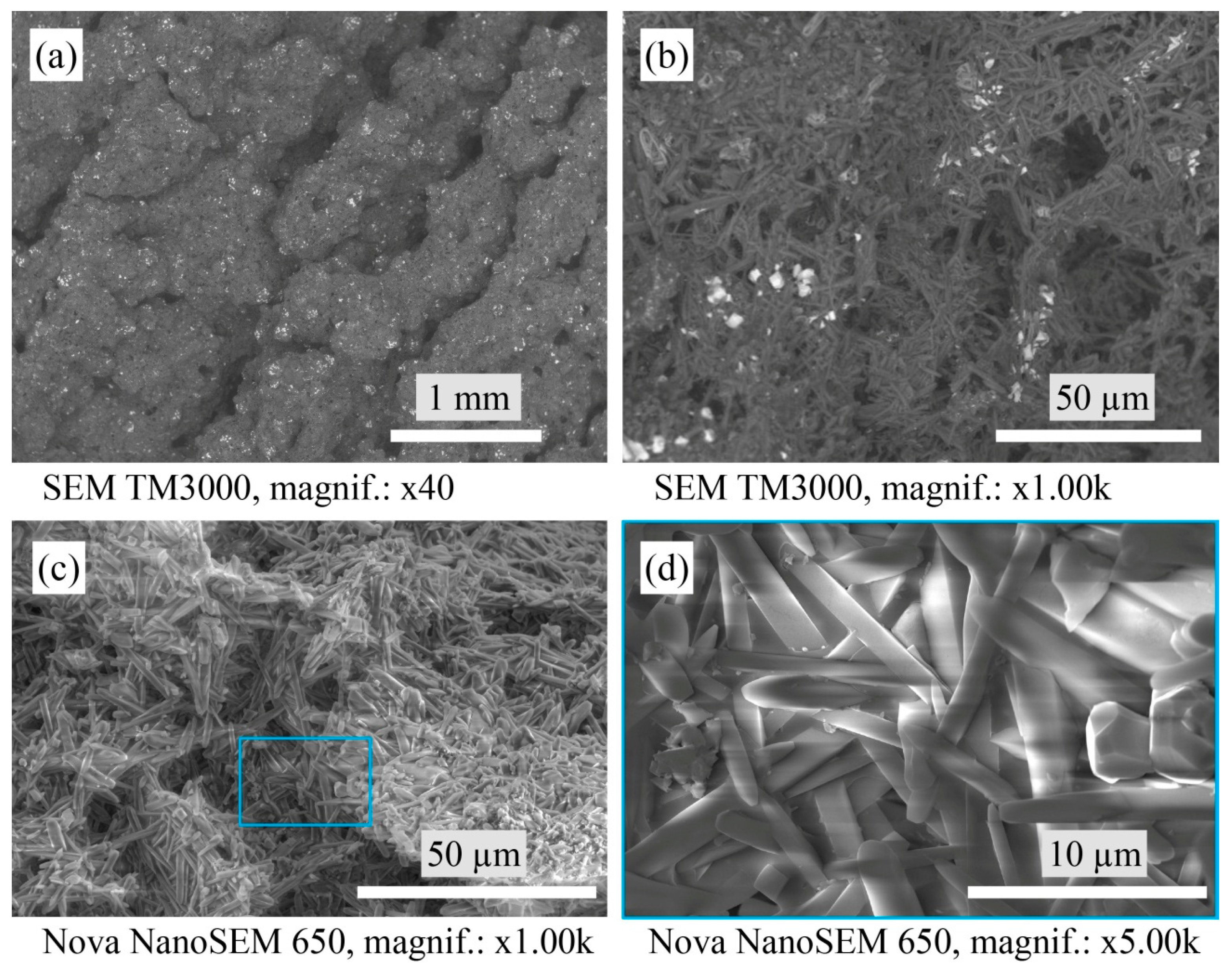 Materials 16 04631 g005