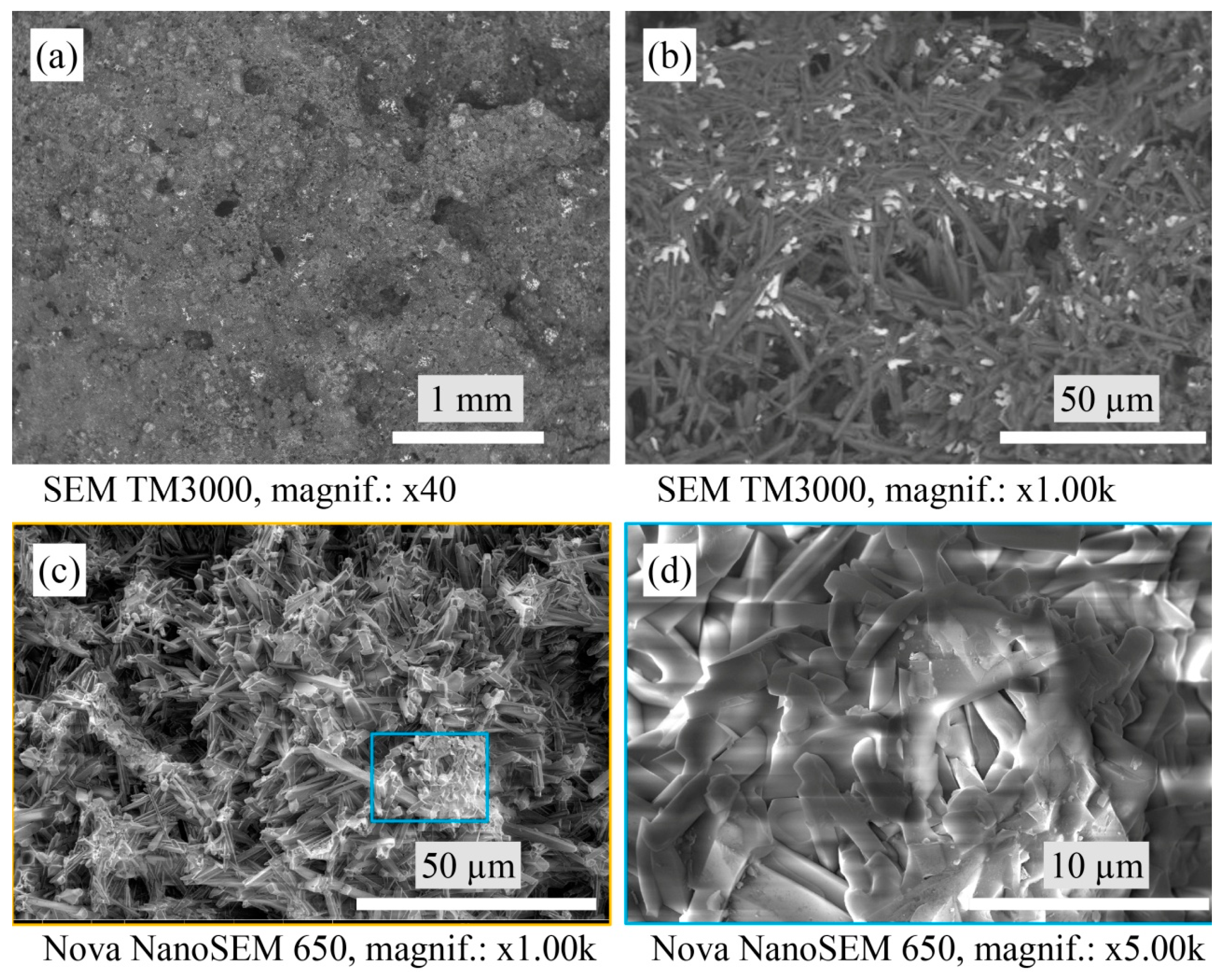 Materials 16 04631 g006