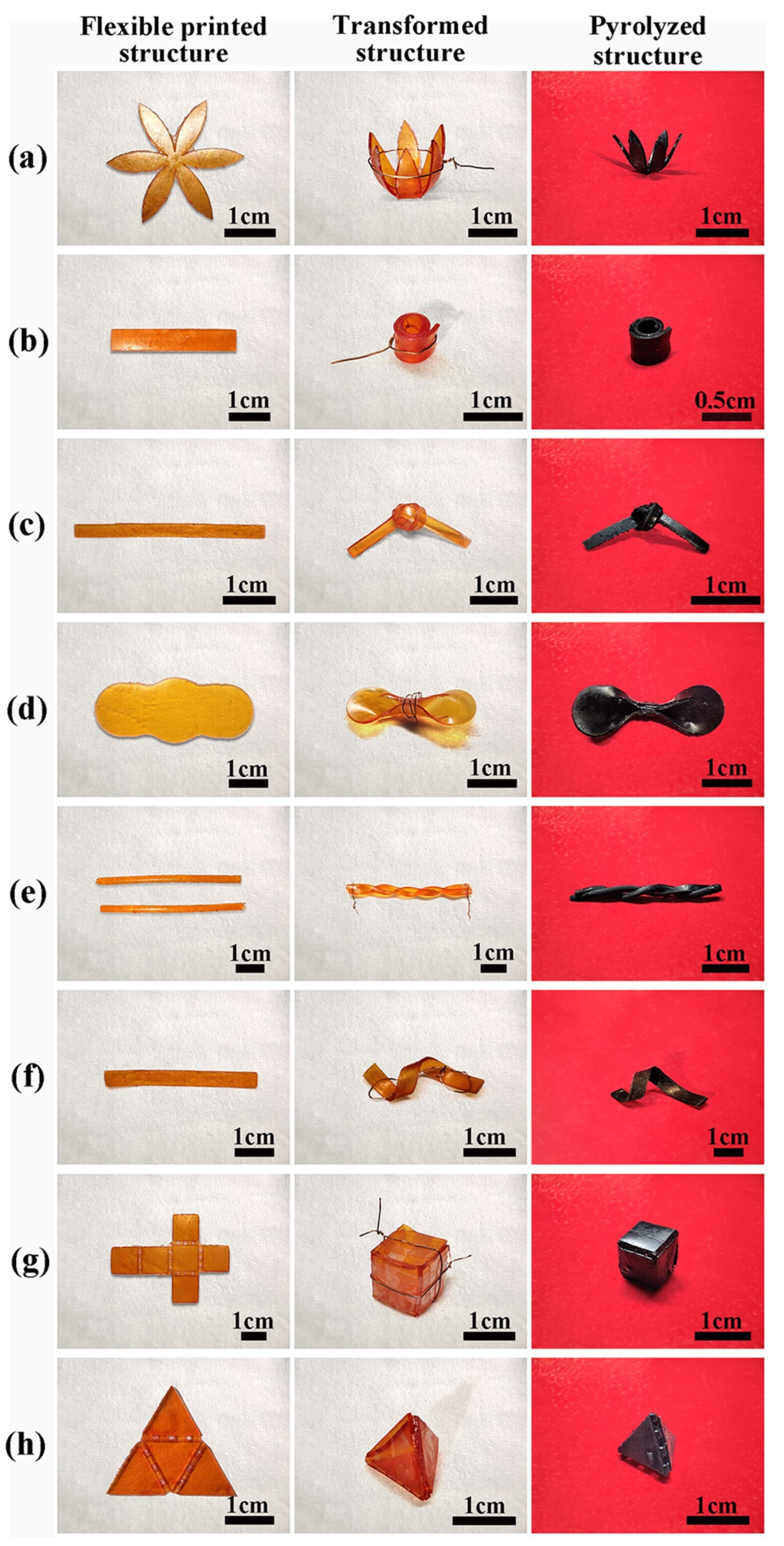 Materials 16 04636 g010