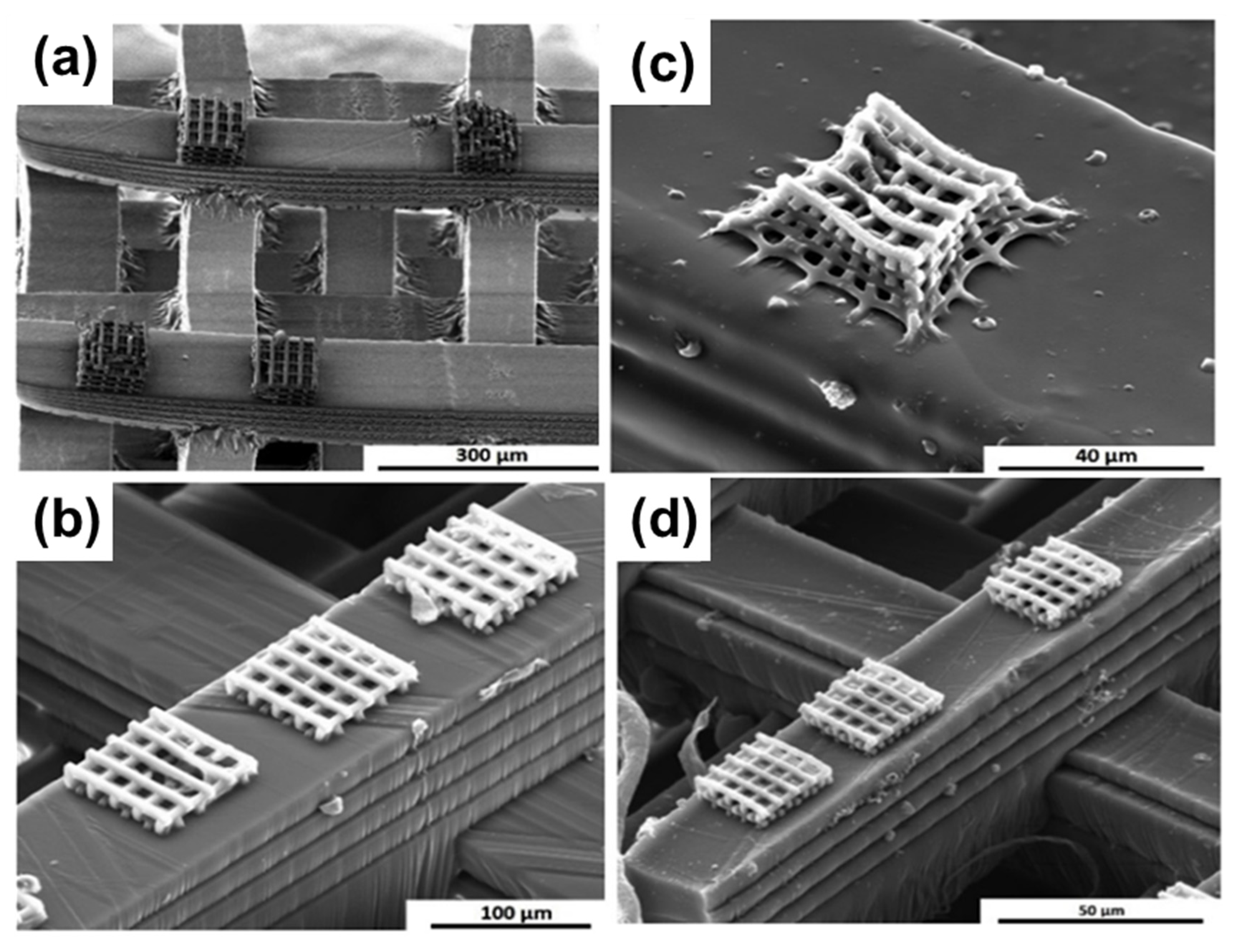 Materials 16 04636 g013