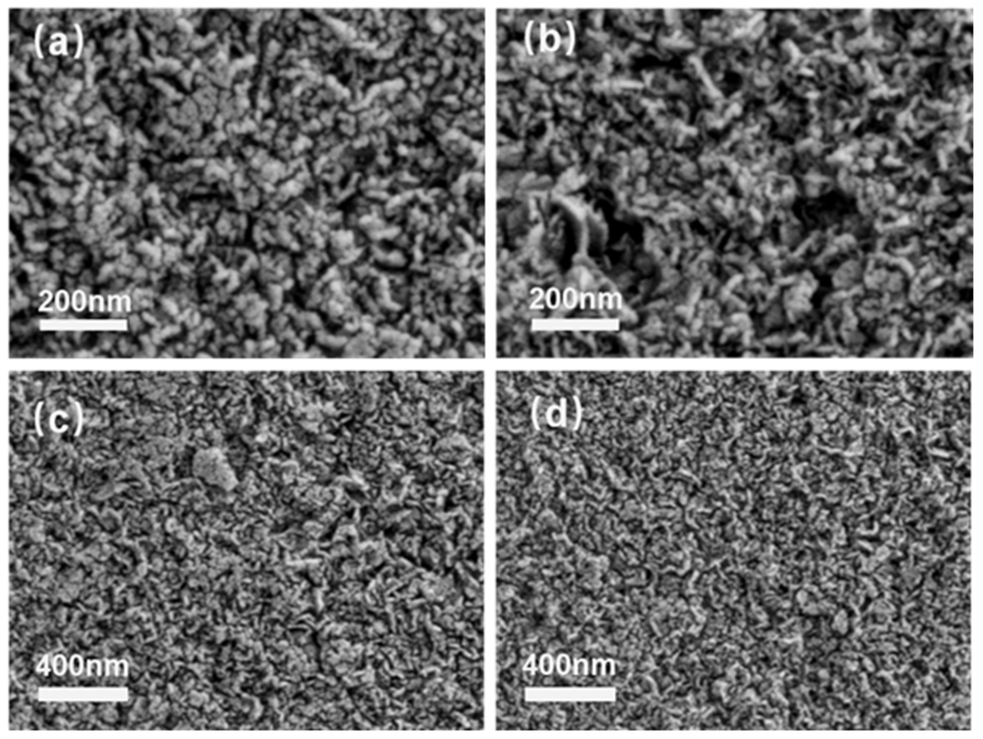 Materials 16 04642 g003