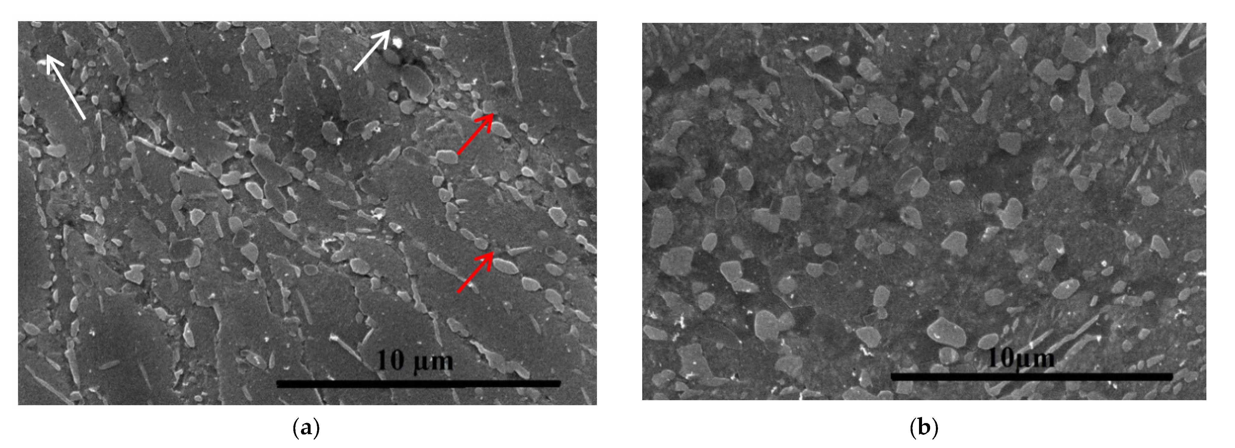 Materials 16 04646 g008