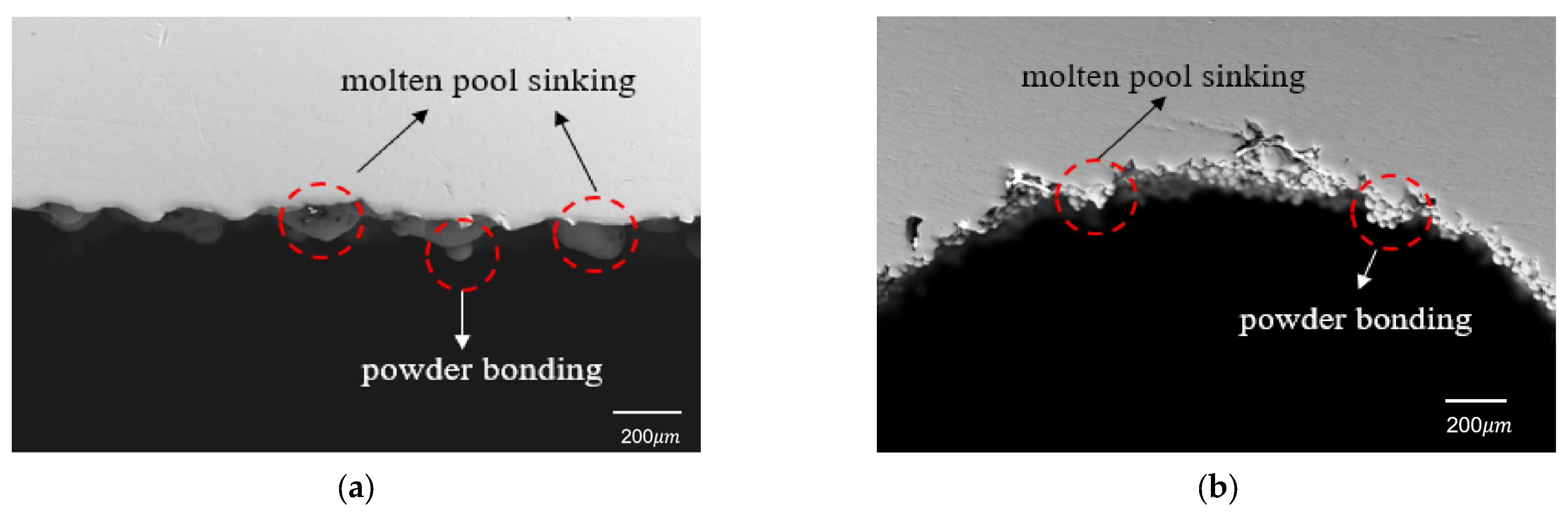 Materials 16 04649 g003