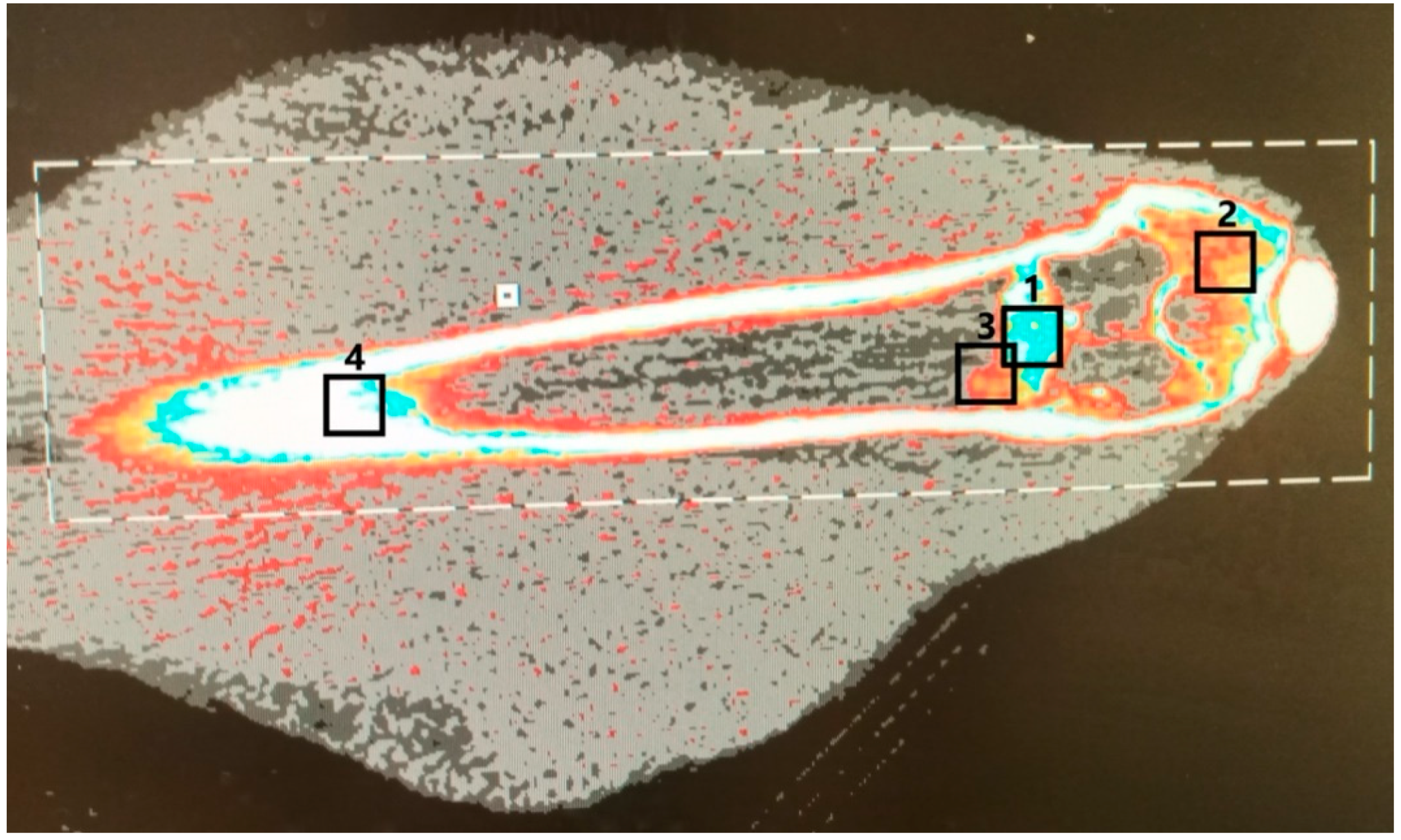 Materials 16 04650 g001