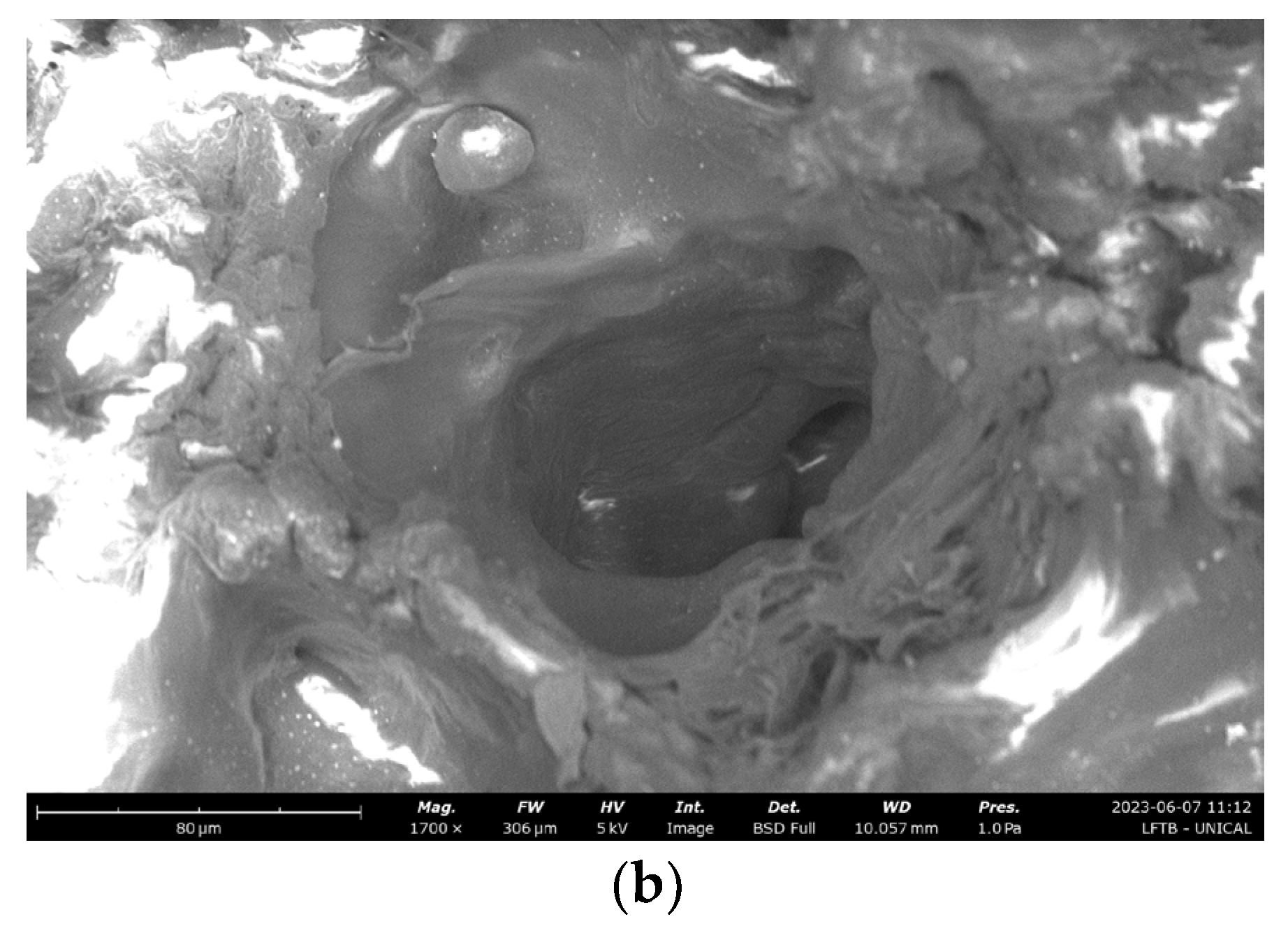 Materials 16 04654 g007b Materials 16 04654 g007b