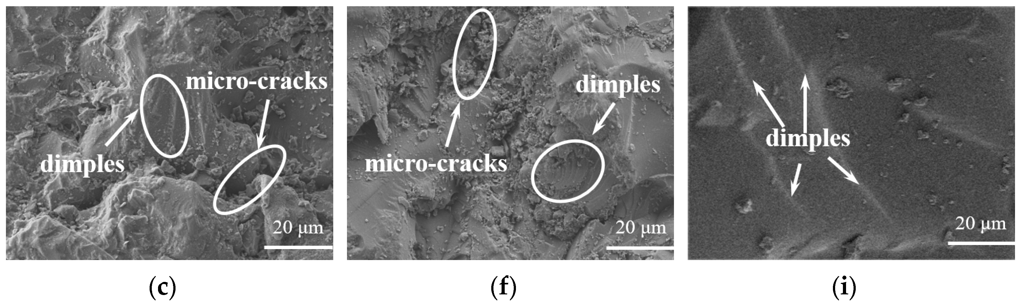 Materials 16 04677 g006b
