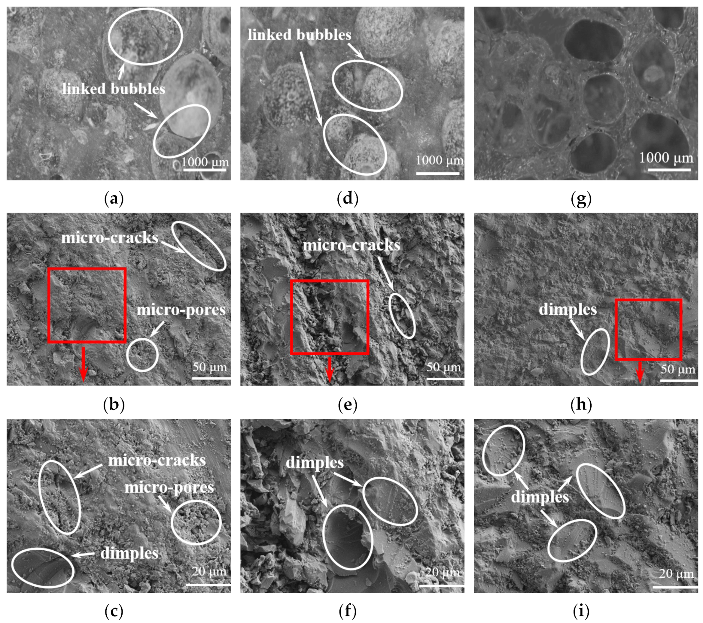 Materials 16 04677 g008