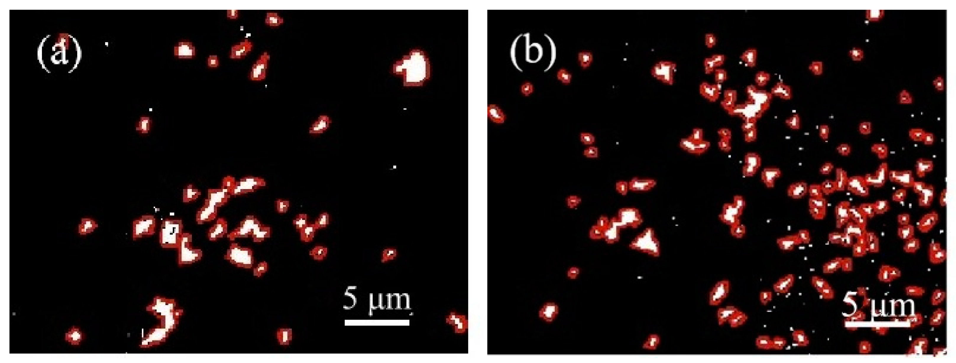 Materials 16 04684 g010 Materials 16 04684 g010