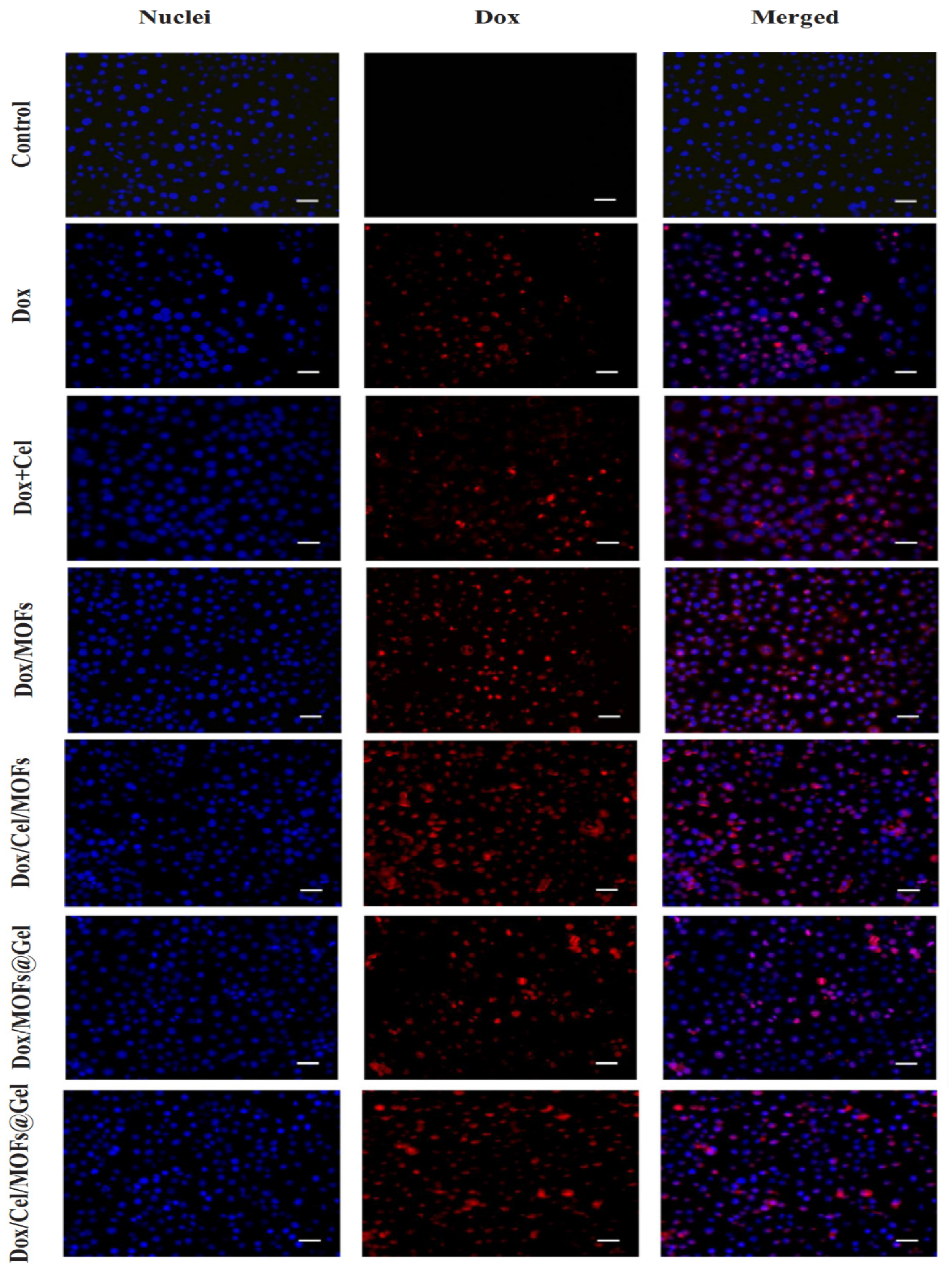 Materials 16 04685 g003
