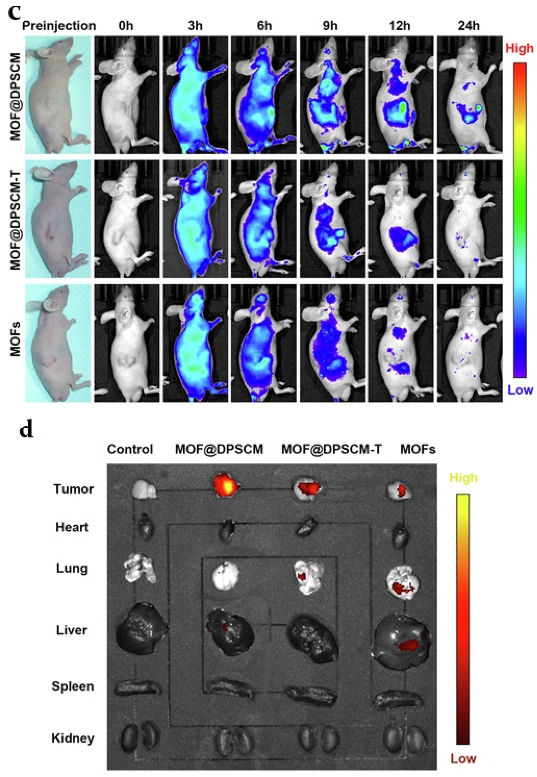 Materials 16 04685 g004b