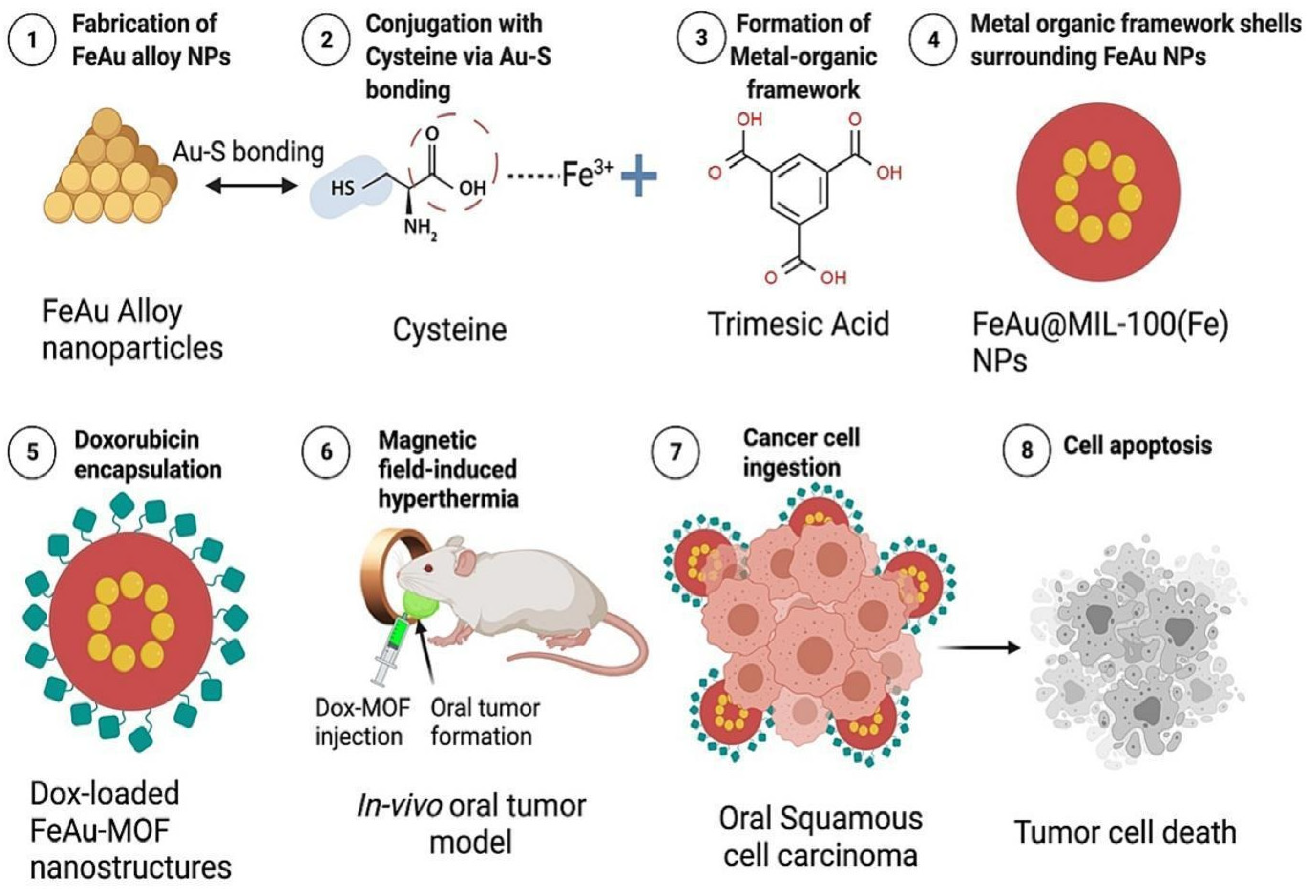 Materials 16 04685 g007