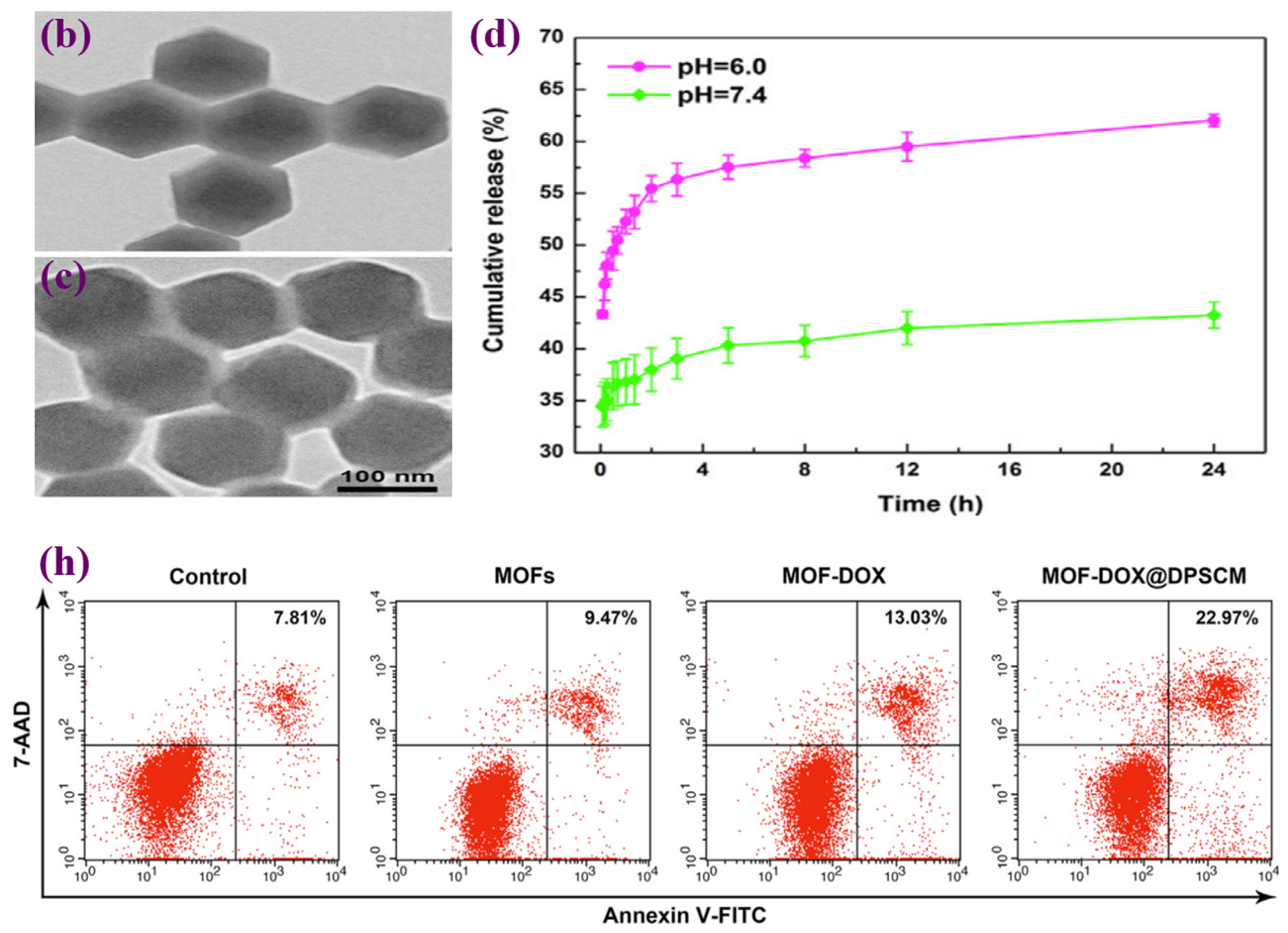 Materials 16 04685 g008b