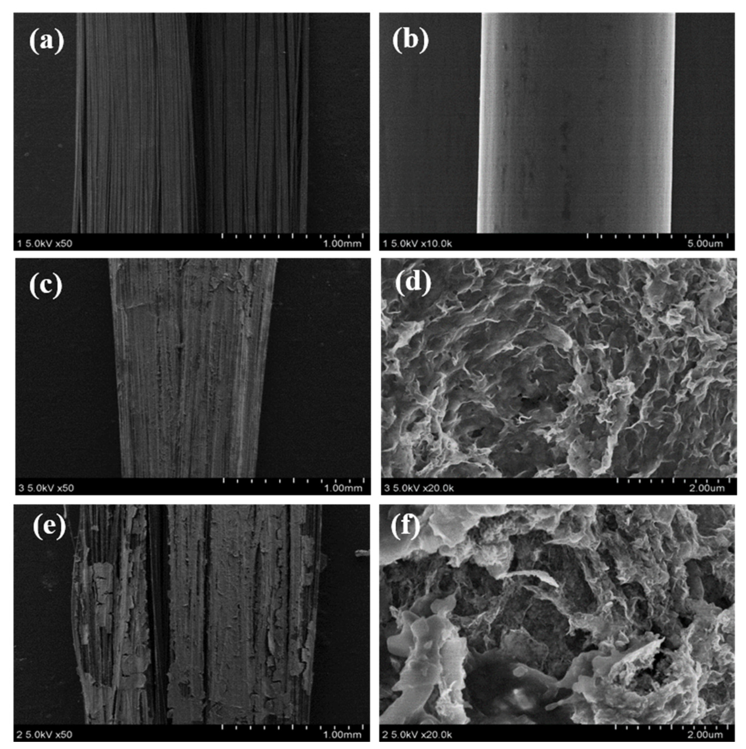 Materials 16 04687 g005