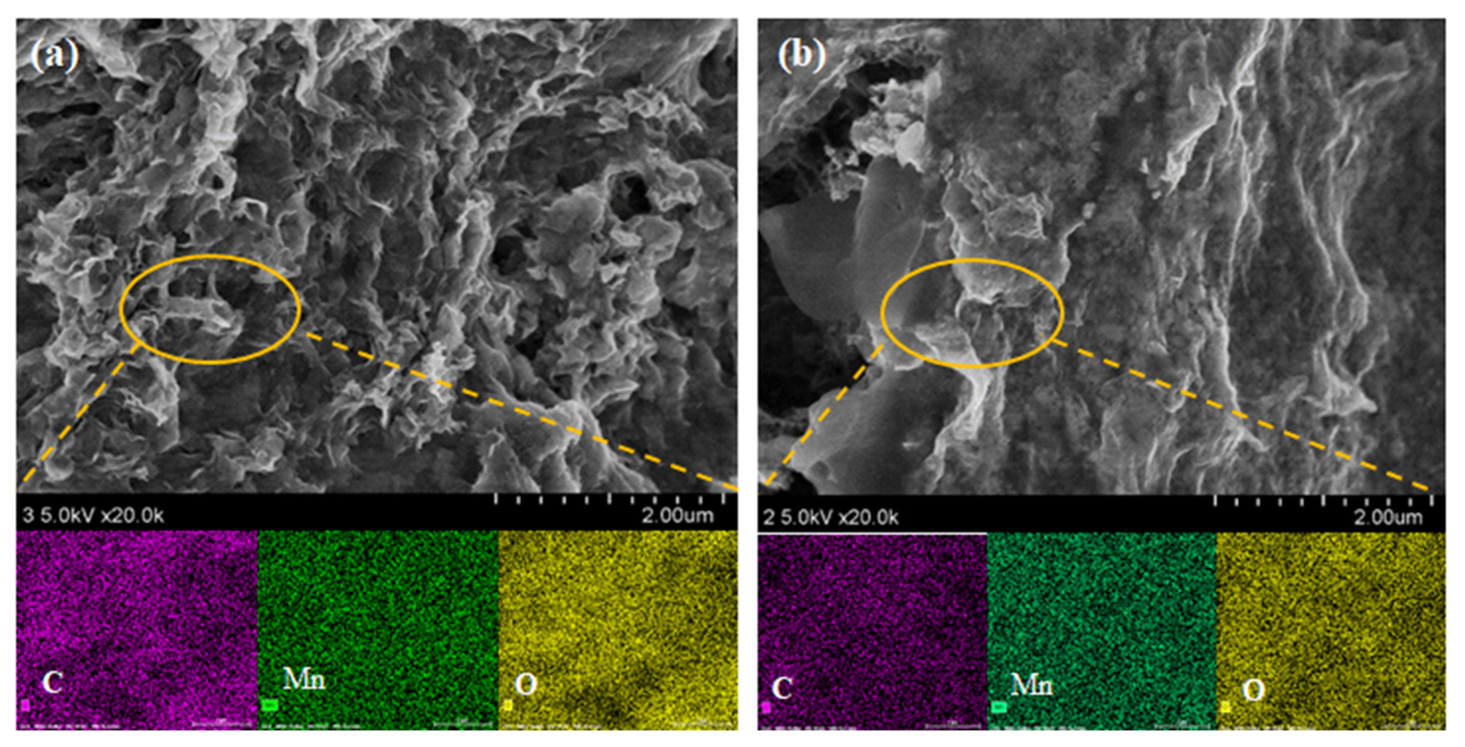 Materials 16 04687 g006