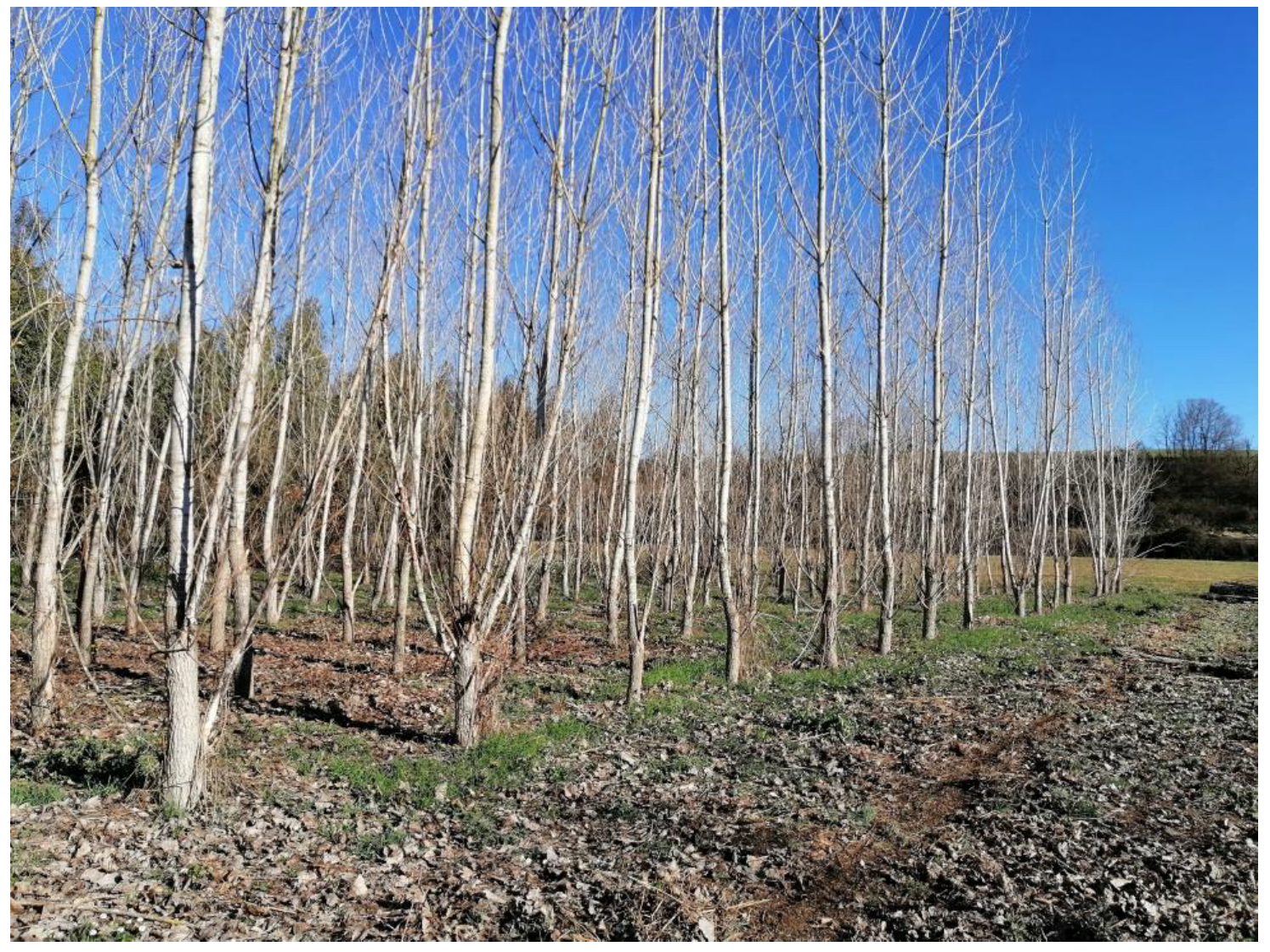 Materials 16 04689 g003