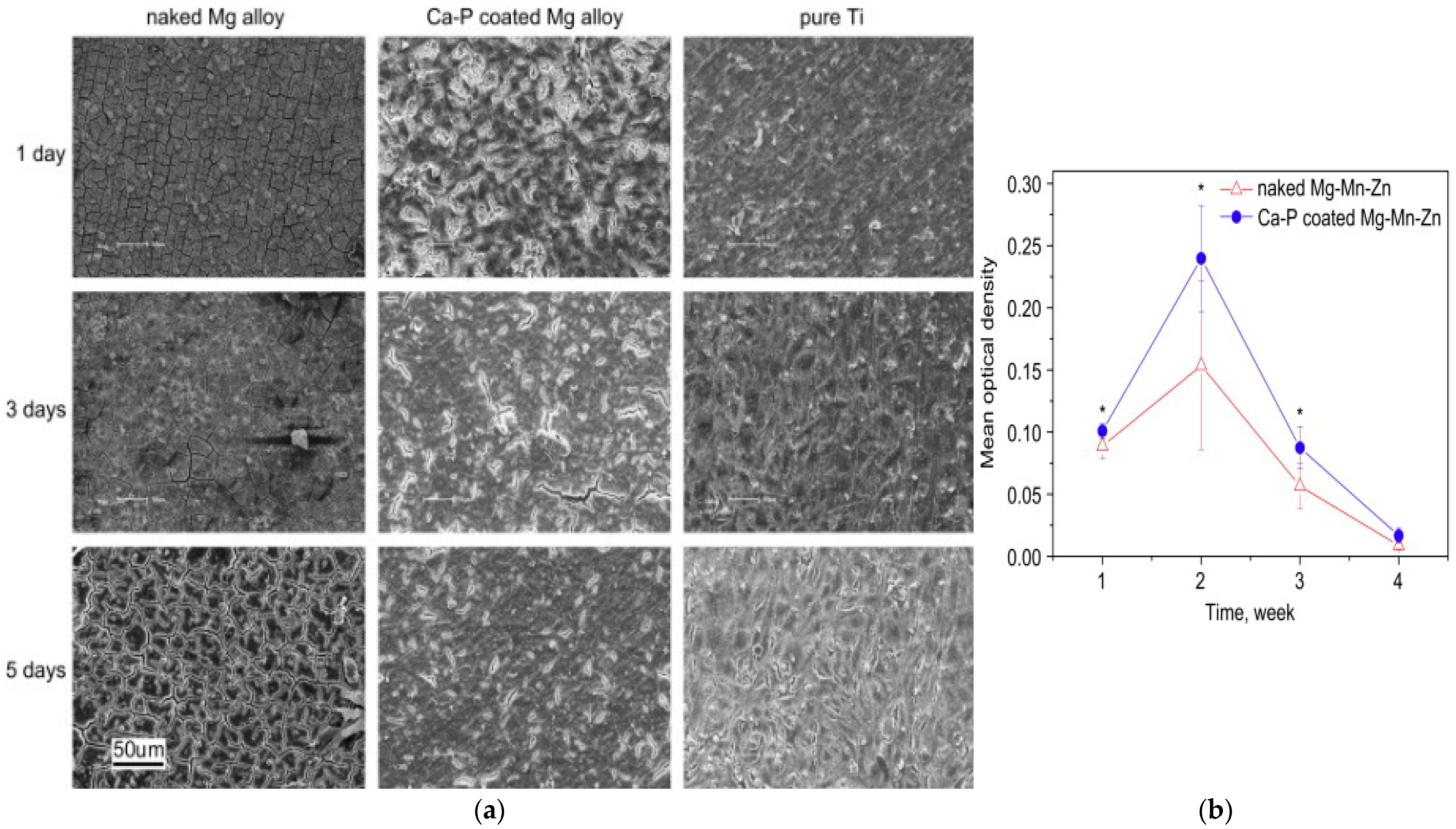 Materials 16 04700 g005
