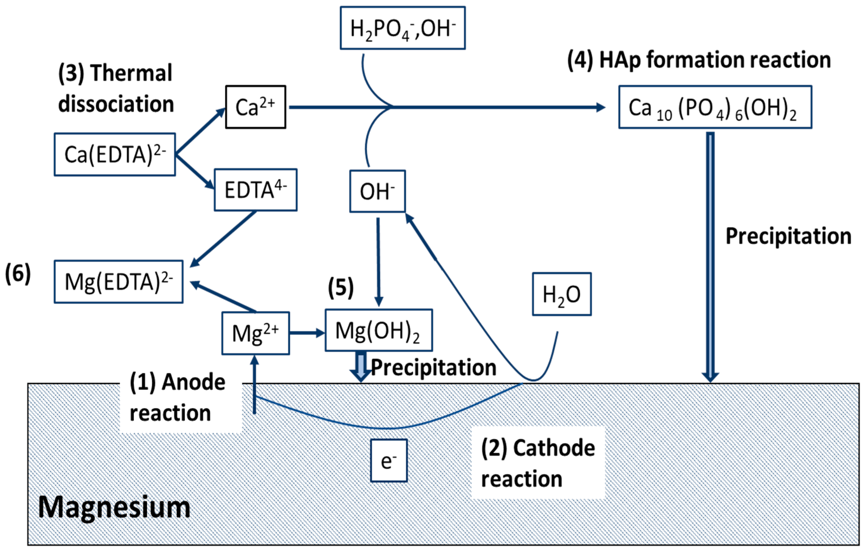 Materials 16 04700 g007