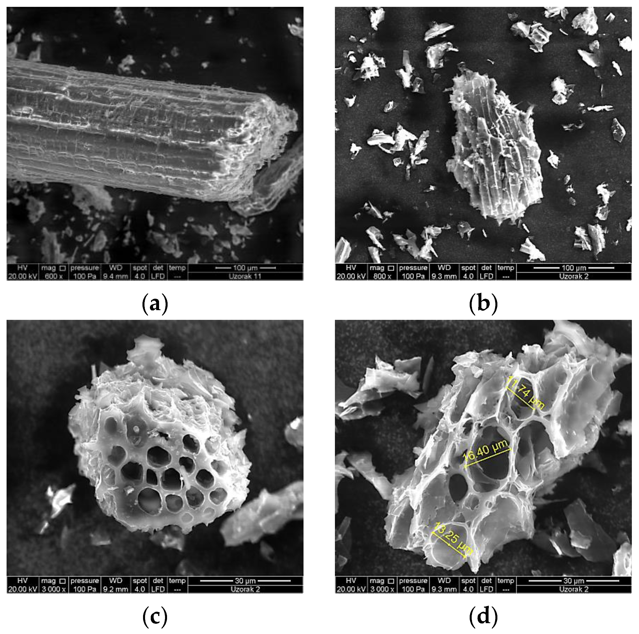 Materials 16 04716 g001