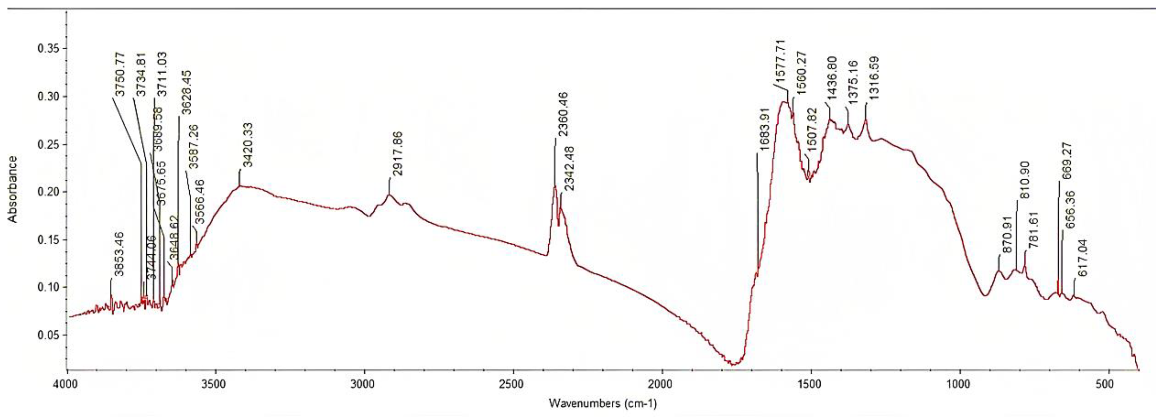 Materials 16 04716 g002