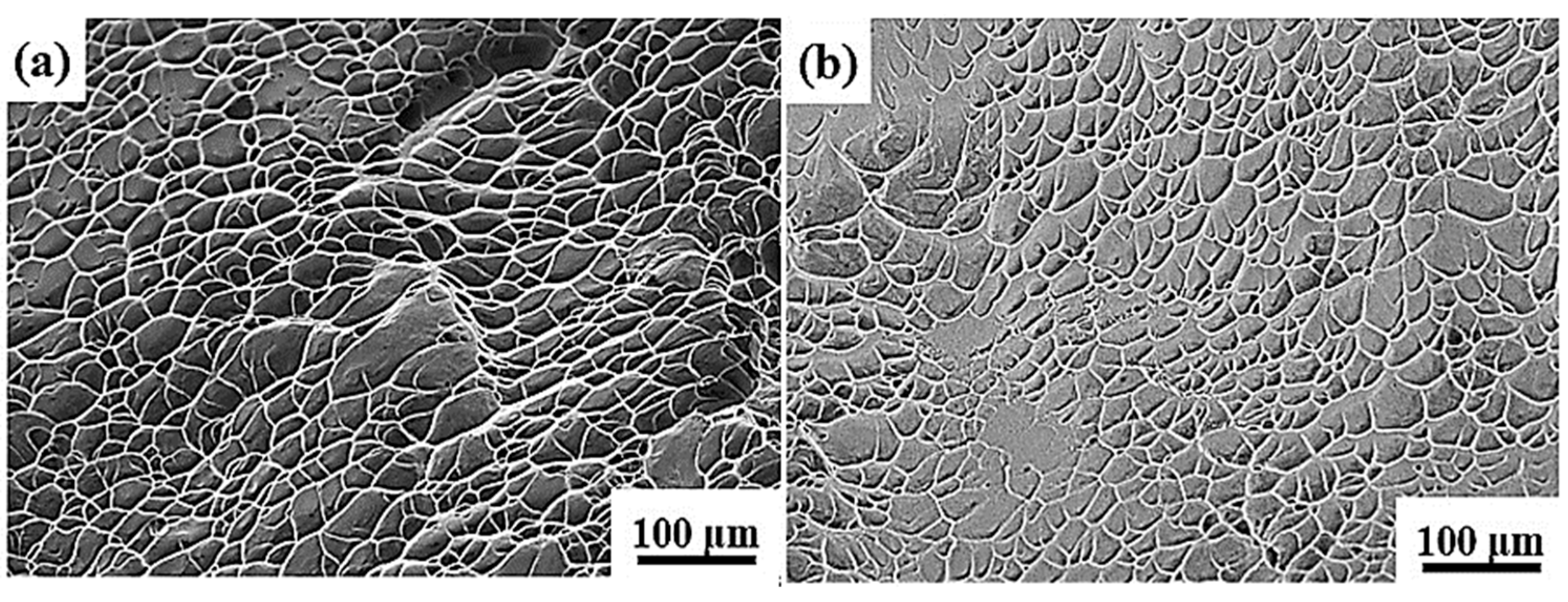 Materials 16 04725 g010