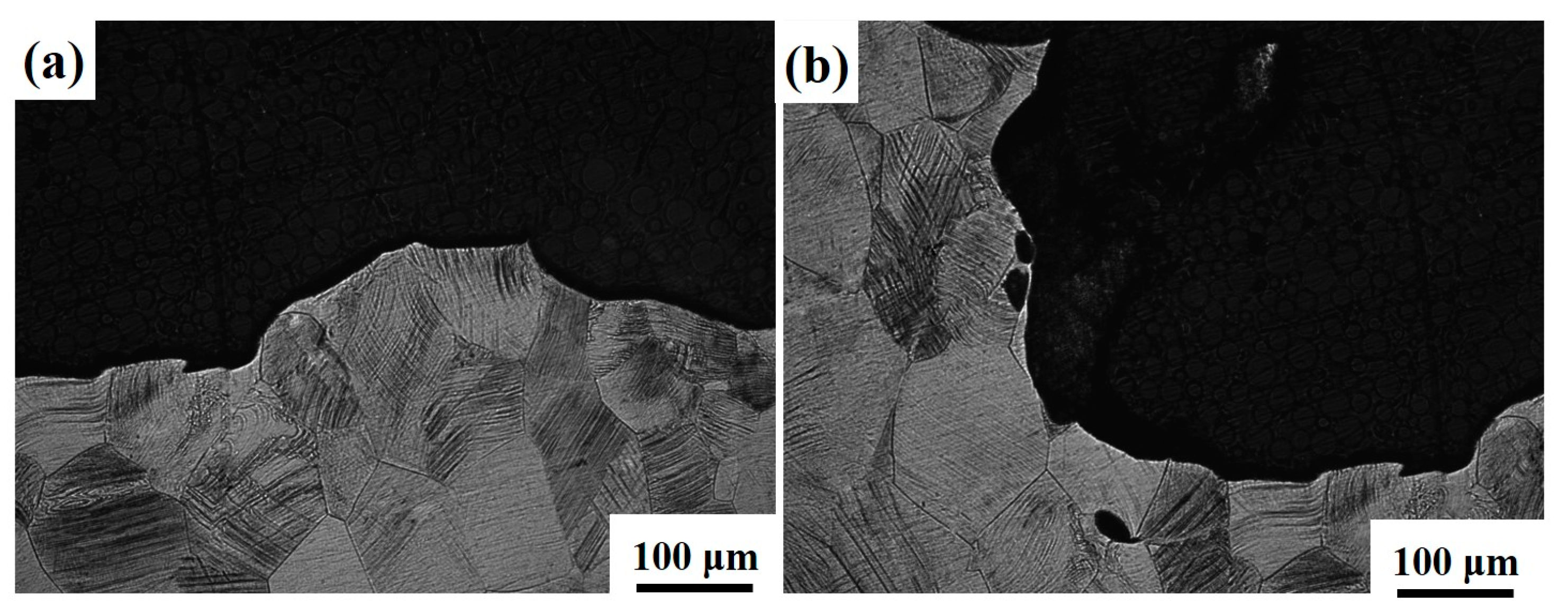 Materials 16 04725 g012