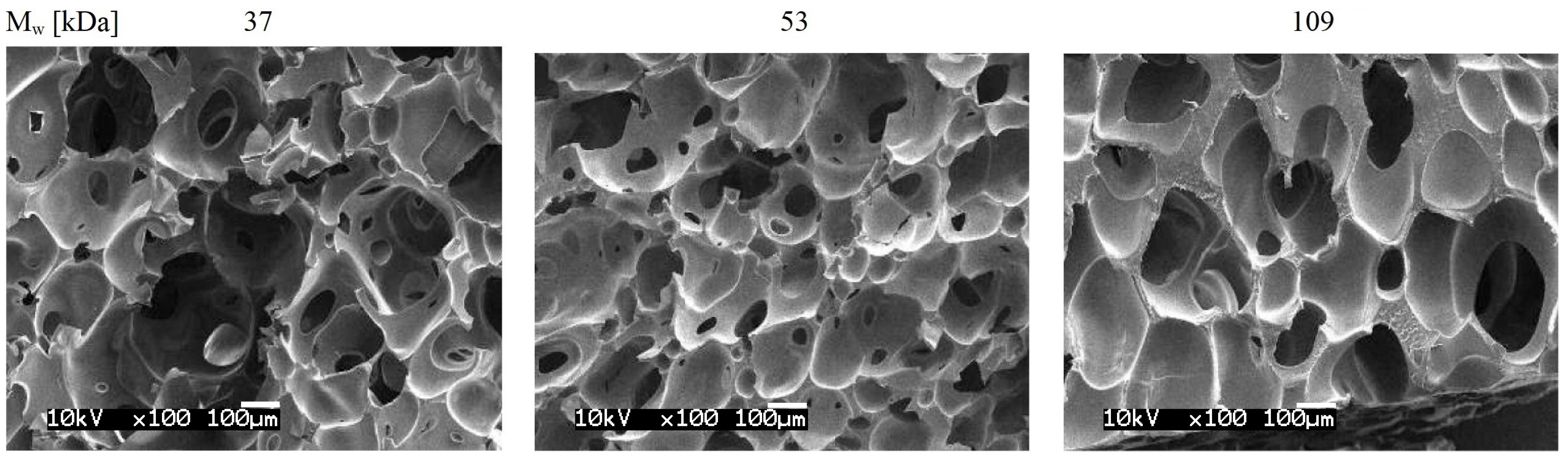 Materials 16 04740 g001