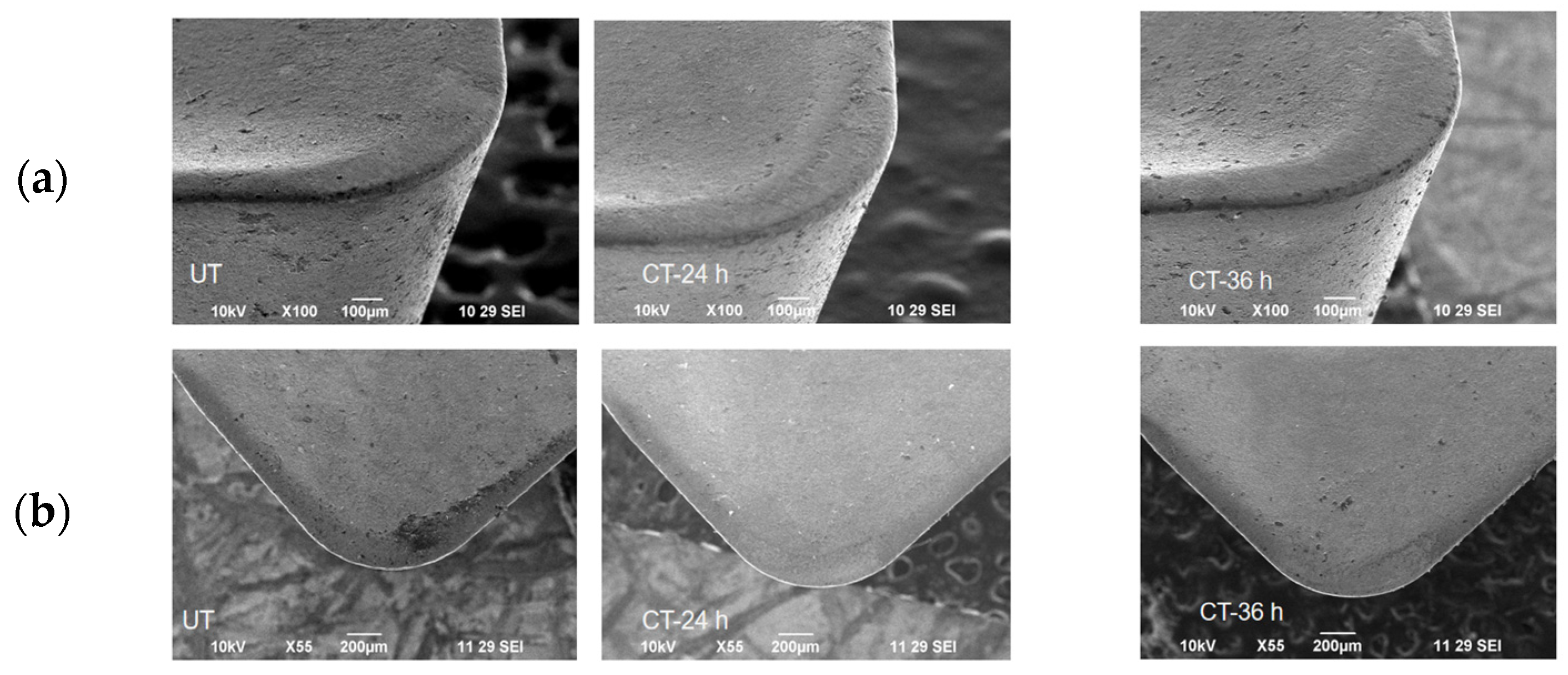 Materials 16 04744 g008