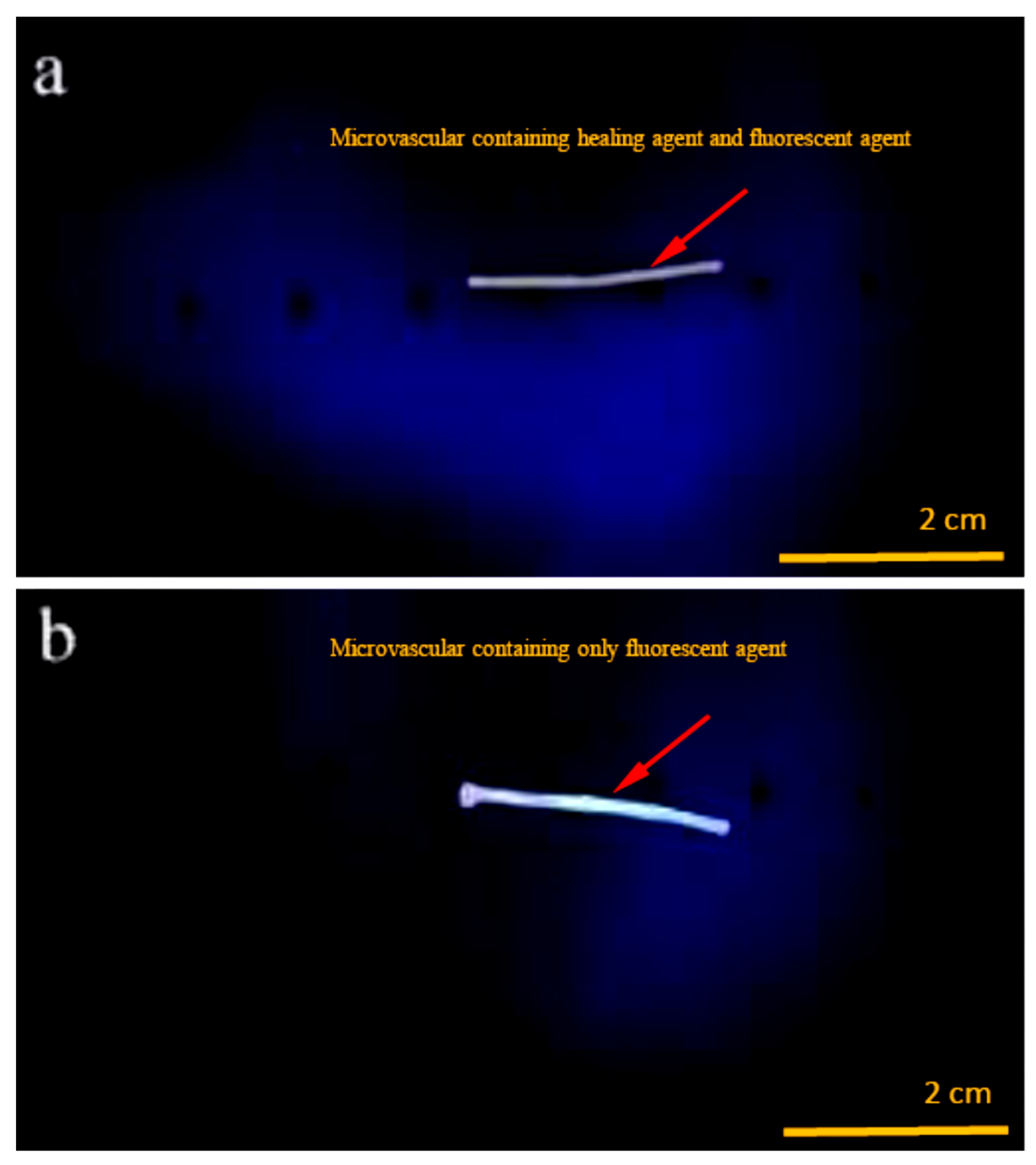 Materials 16 04746 g002