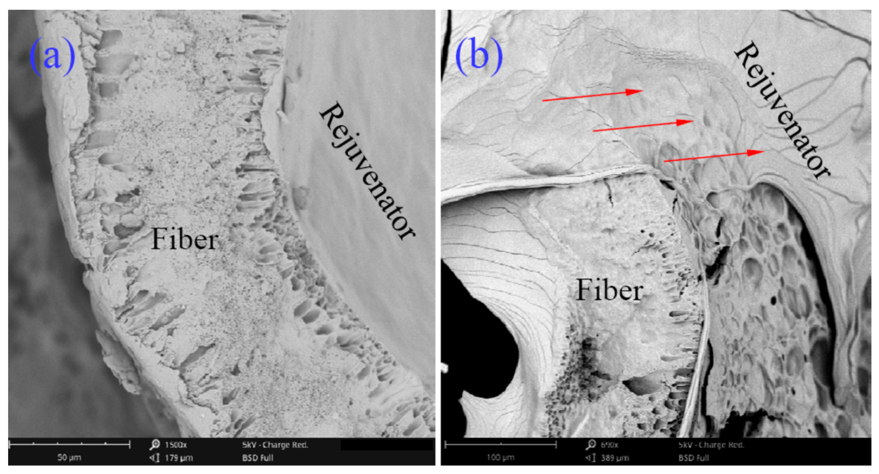 Materials 16 04746 g003