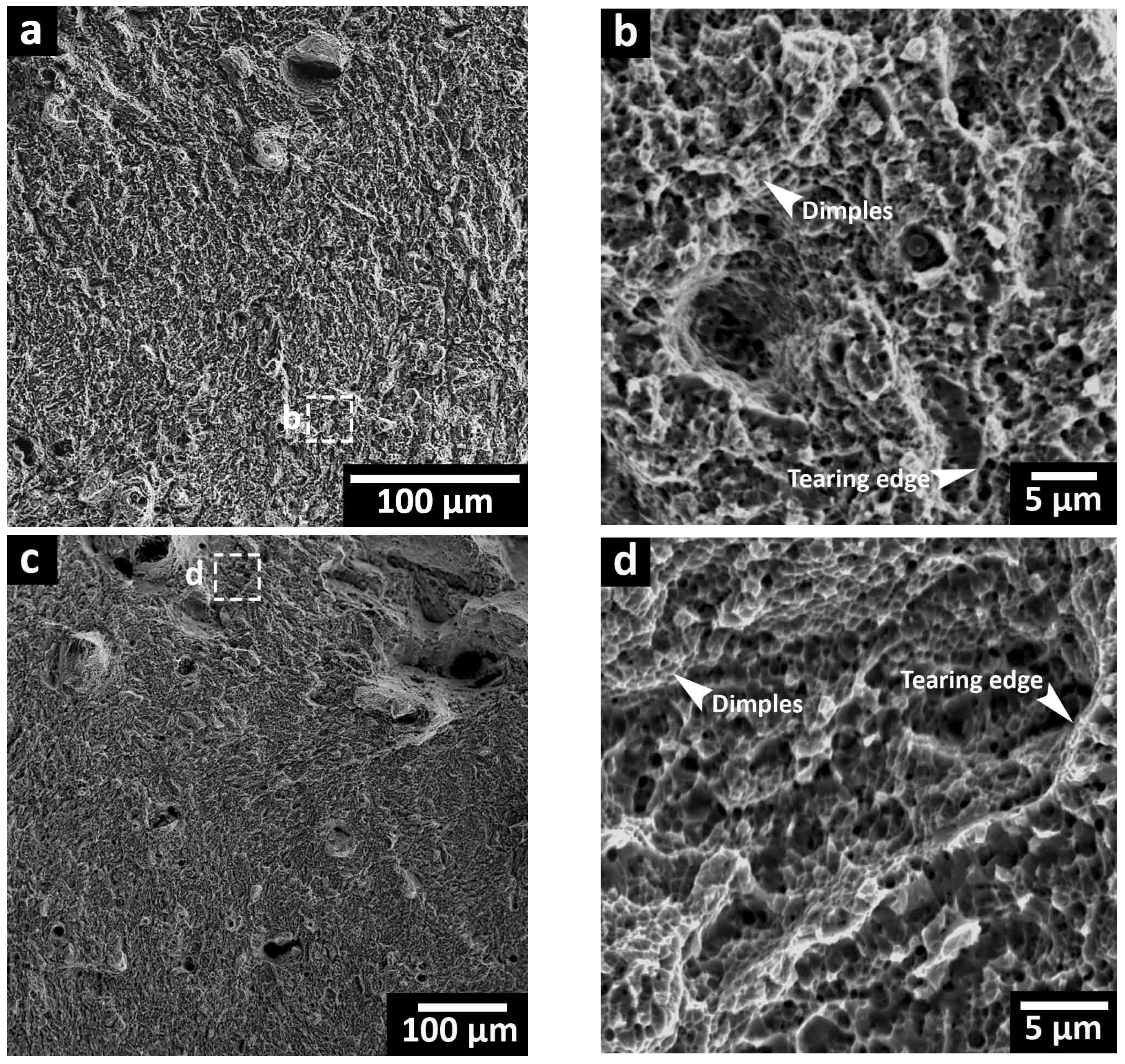 Materials 16 04749 g014 Materials 16 04749 g014