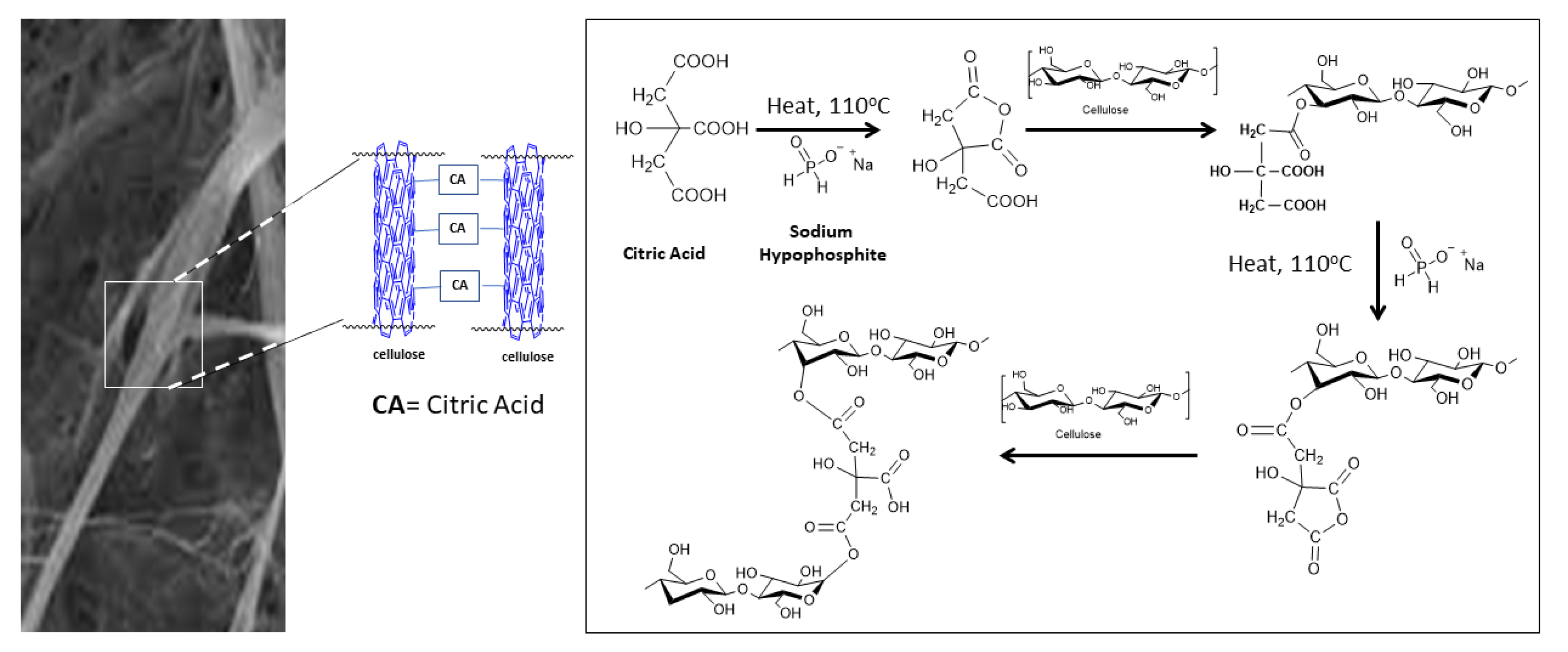 Materials 16 04758 g006