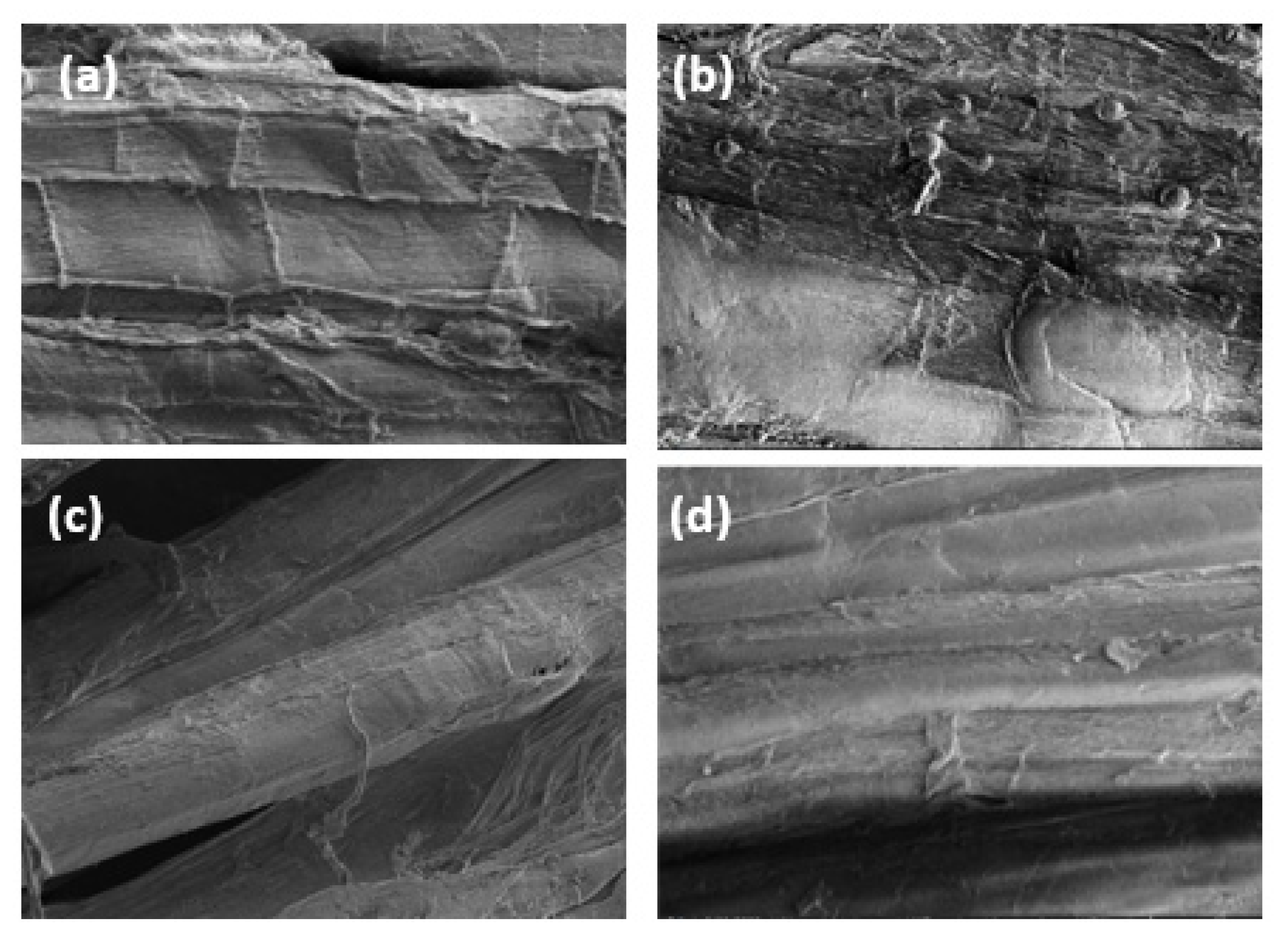 Materials 16 04758 g007