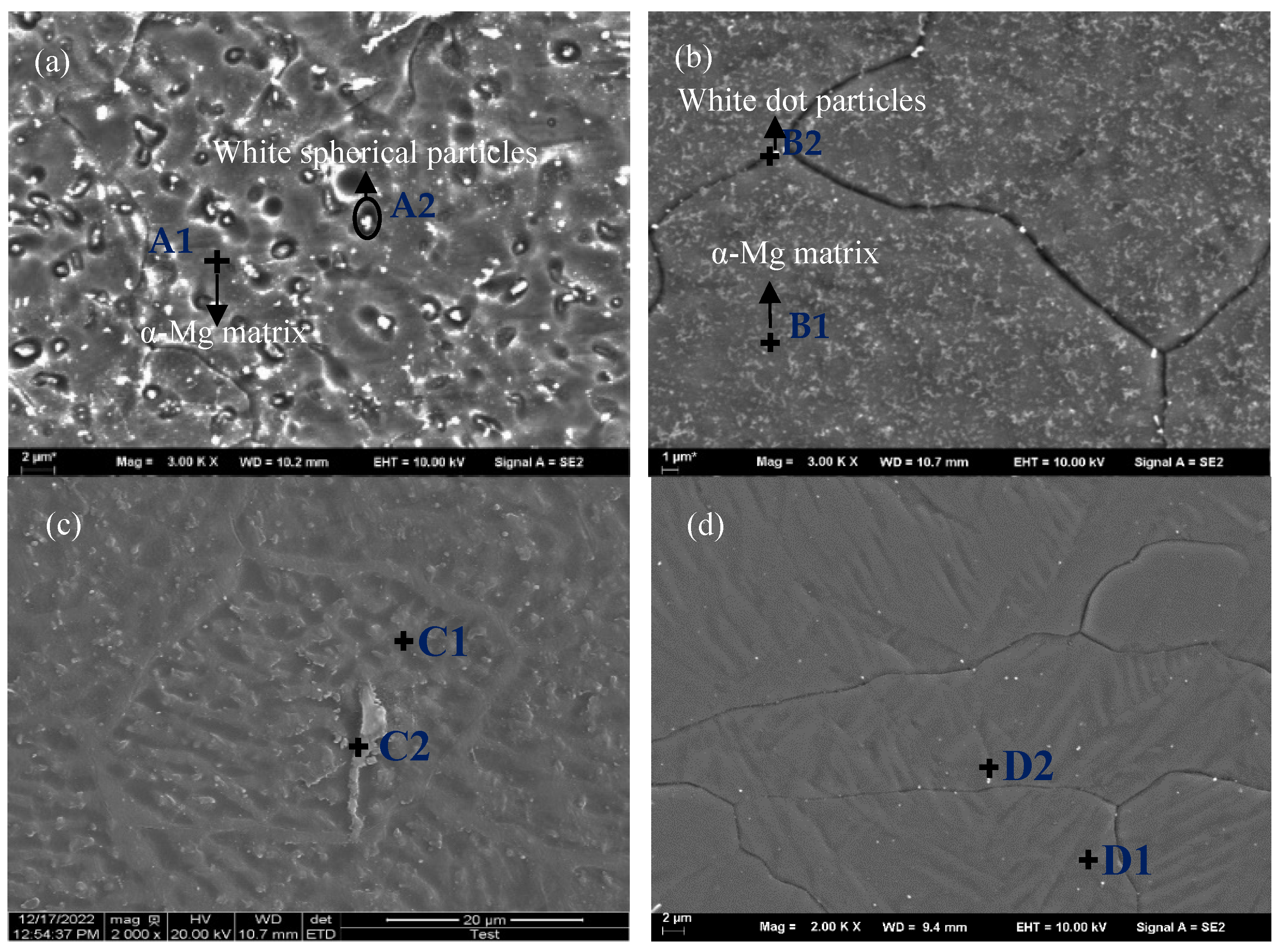 Materials 16 04764 g004