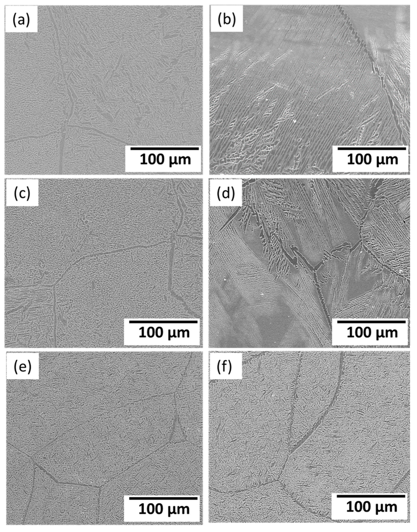 Materials 16 04768 g010