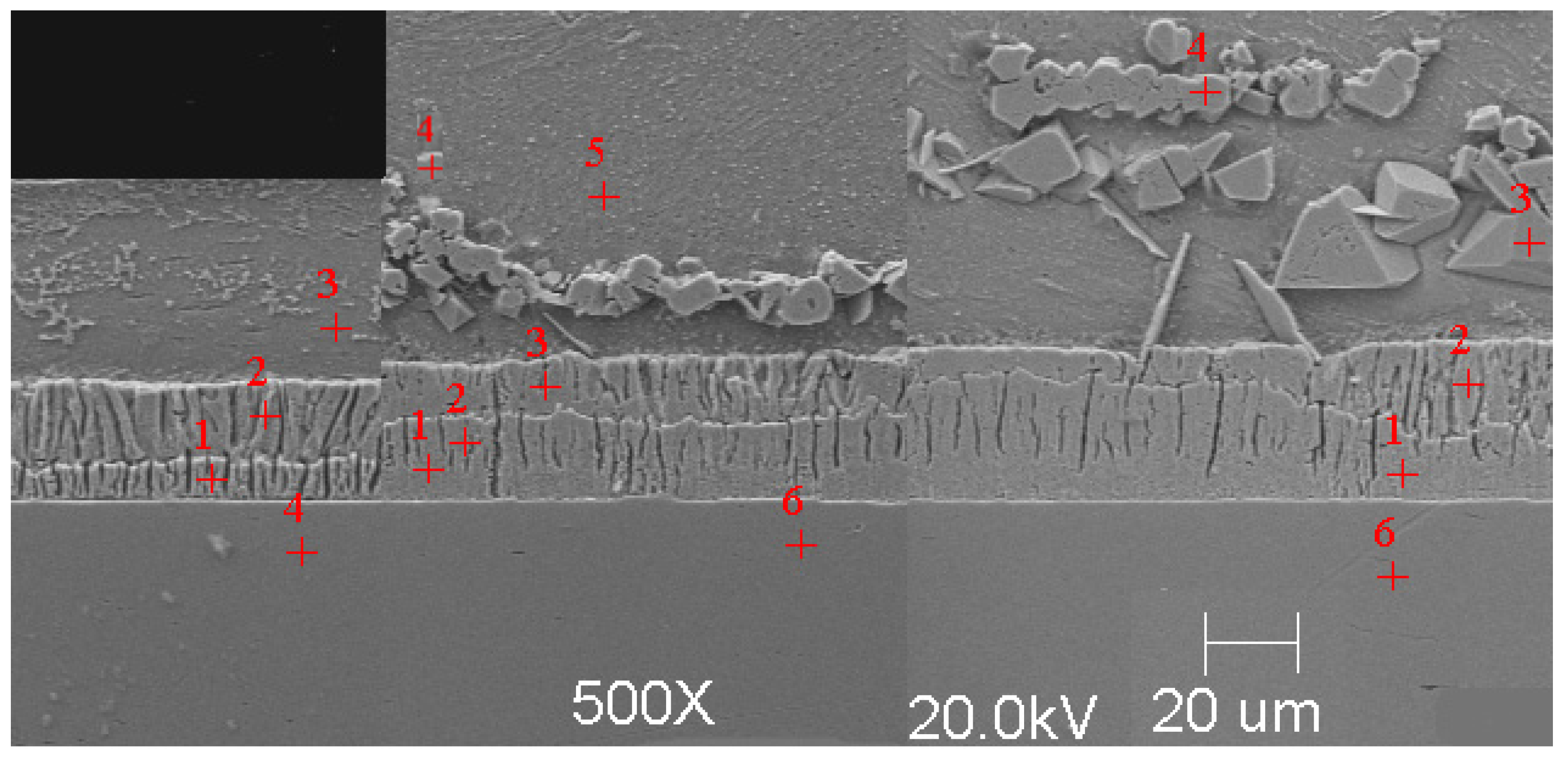 Materials 16 04773 g005
