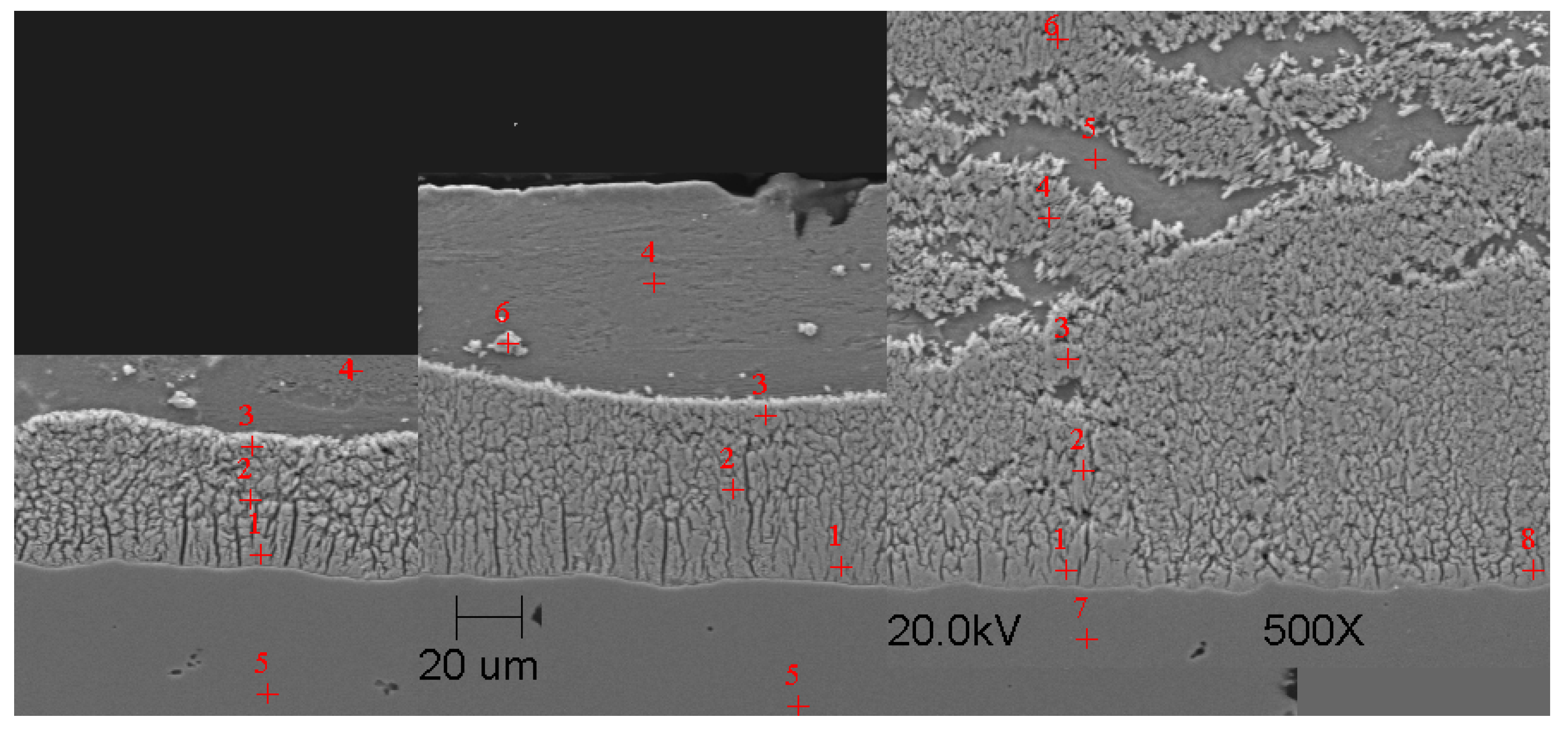 Materials 16 04773 g007