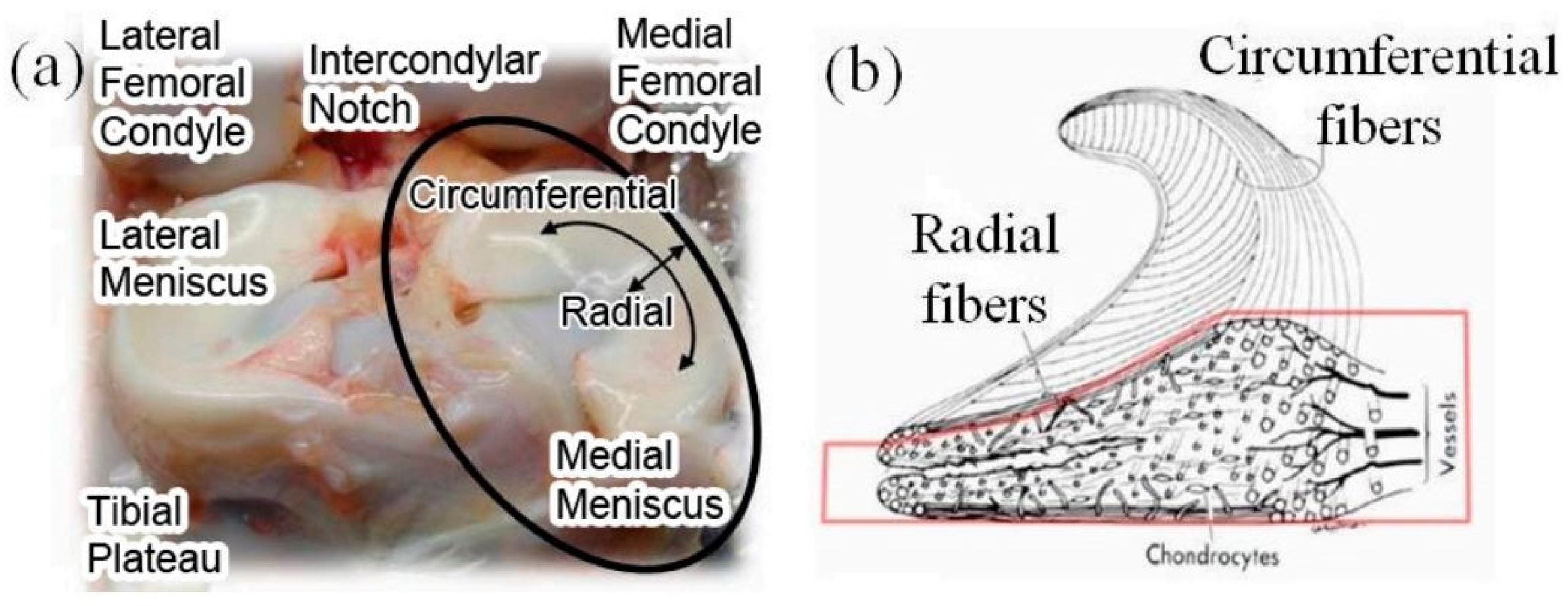 Materials 16 04775 g001