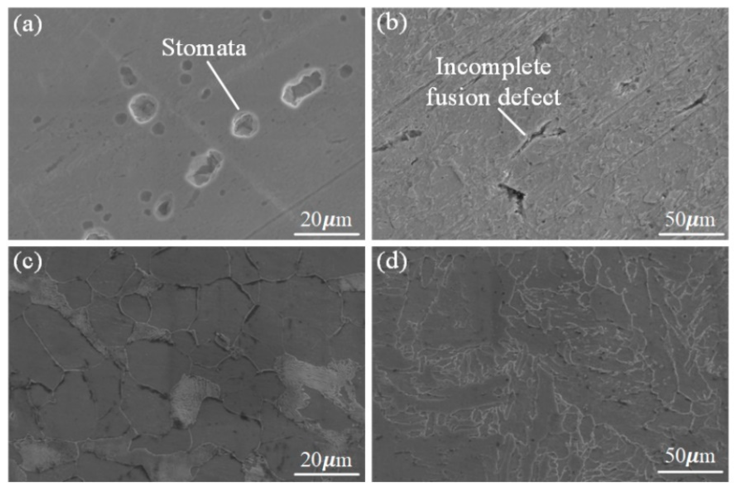 Materials 16 04782 g016